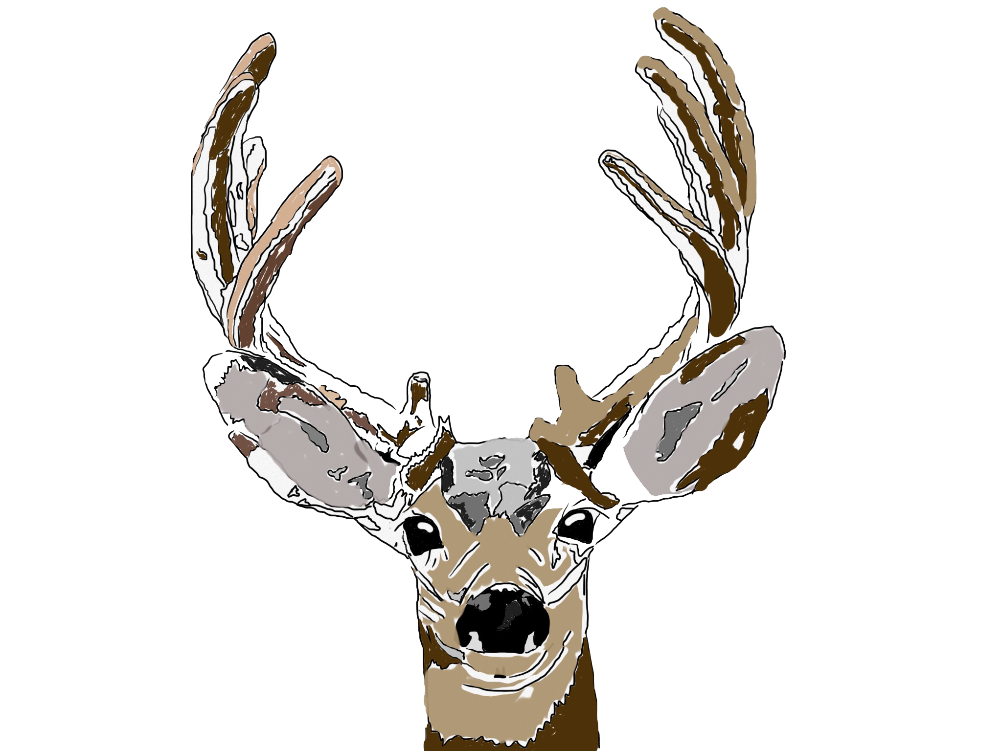 deernorm.png