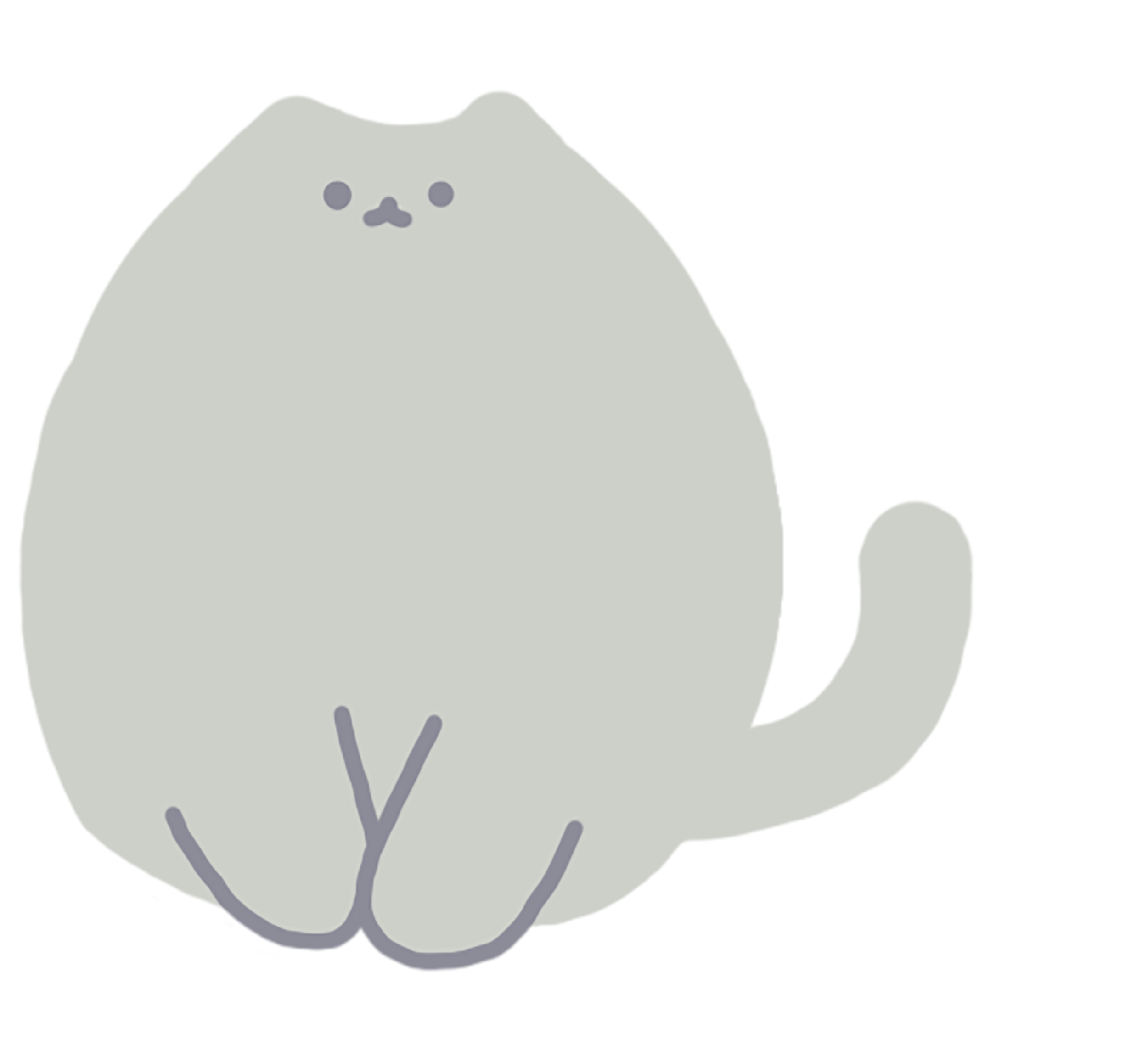 cat.png