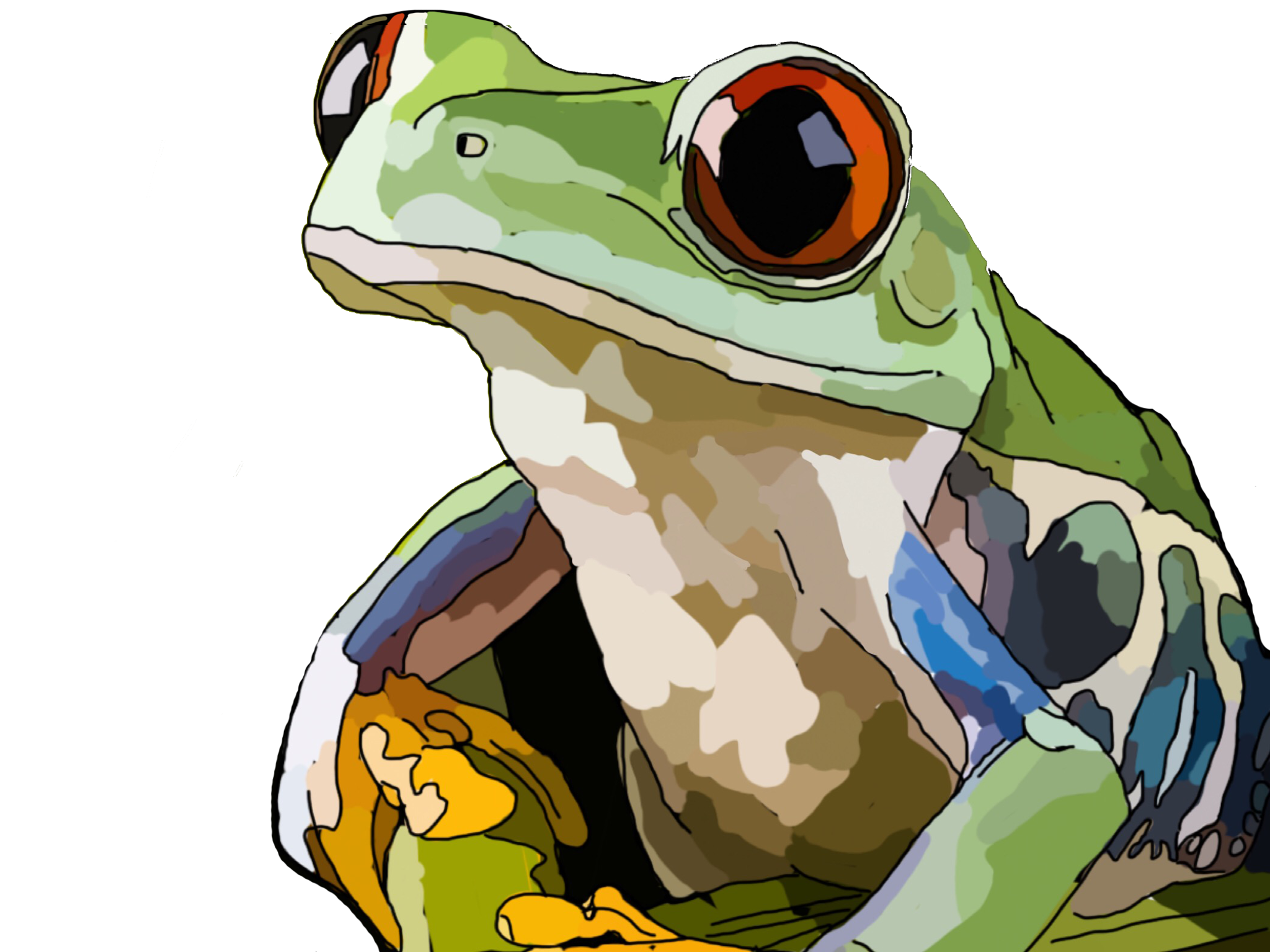 frog 2.27.29 AM.png