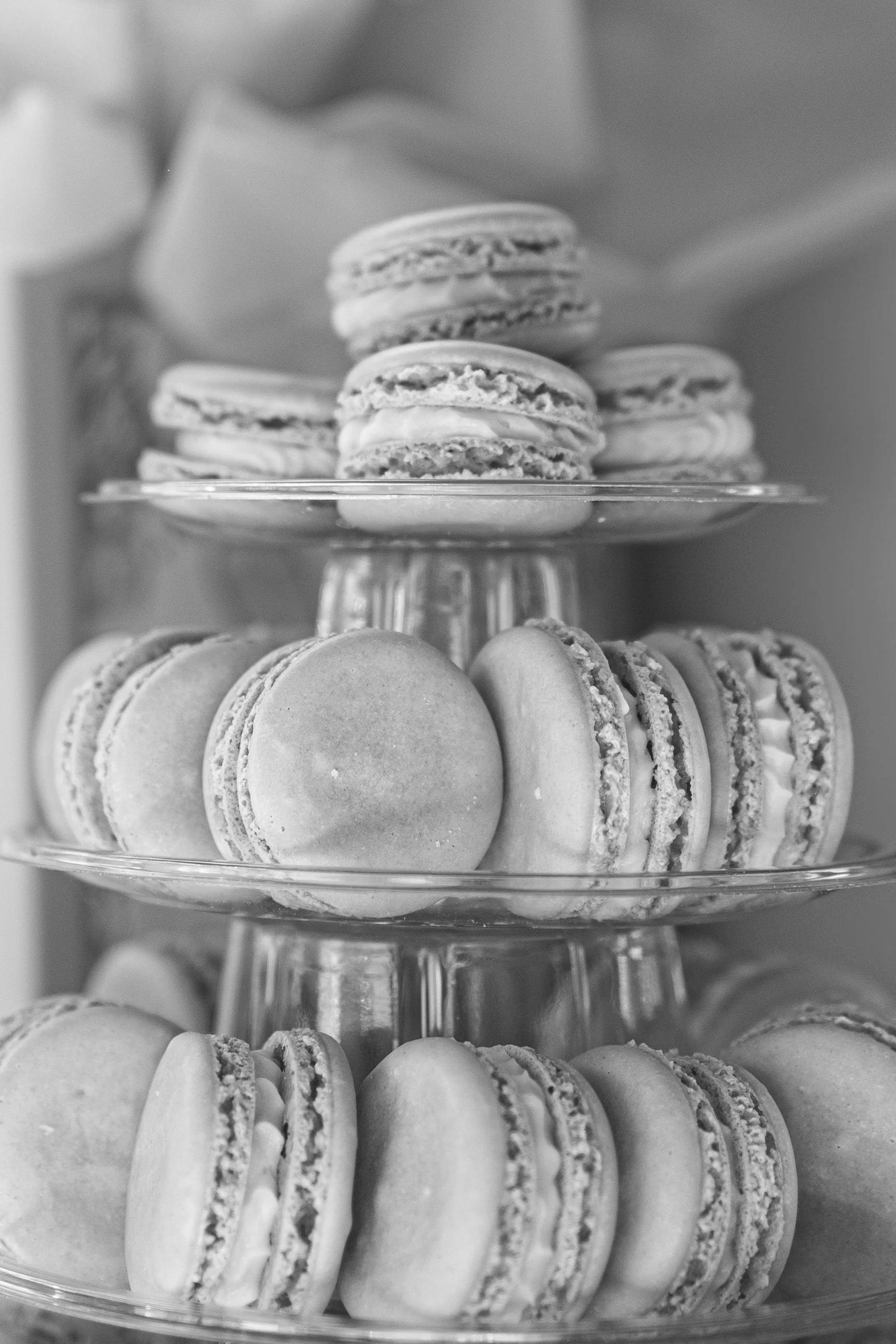 website portfolio-18.jpg