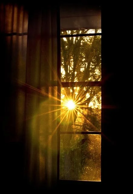 The Architecture of Light: How Sunlight Shapes Modern Space