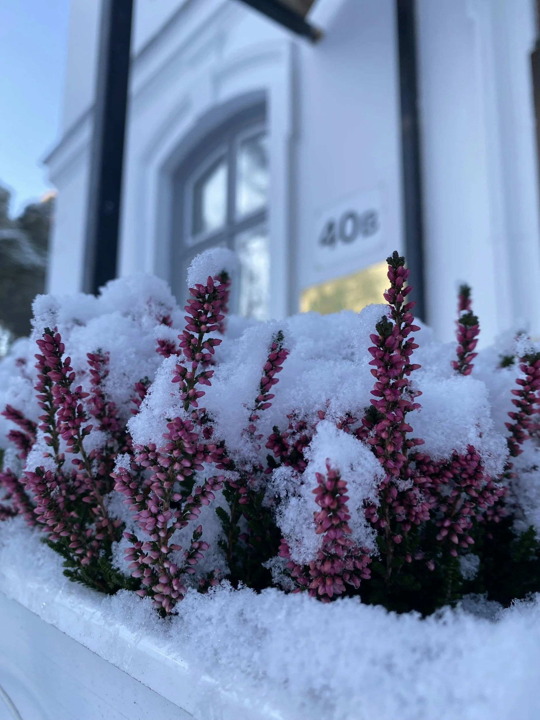 Winter-Proofing Your Curb Appeal: How to Keep Your Home Looking Sharp When the Green Fades