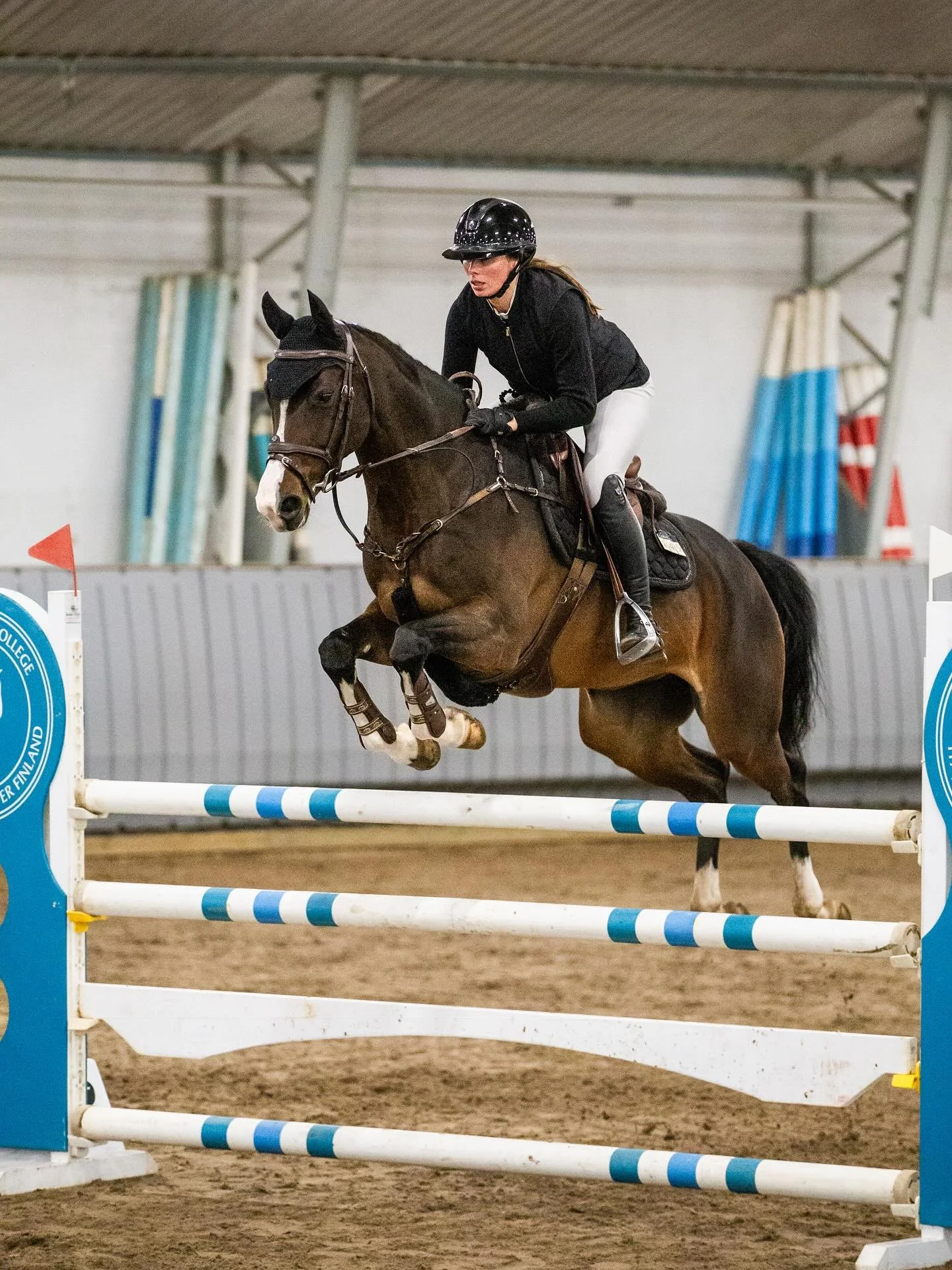 17.10 Yp&auml;j&auml; Horse Show

Kuvattuna luokat 9B-12, linkki kuviin l&ouml;ytyy biosta 💫

#jennahanninenphotography