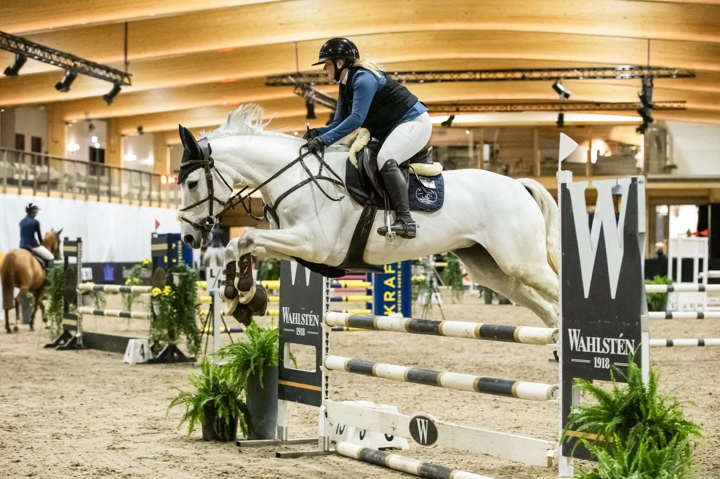 23.1 Ratsastuskeskus Aino

Kuvattuna luokat 9-14, linkki kuviin biossa! 💌

#jennahanninenphotography