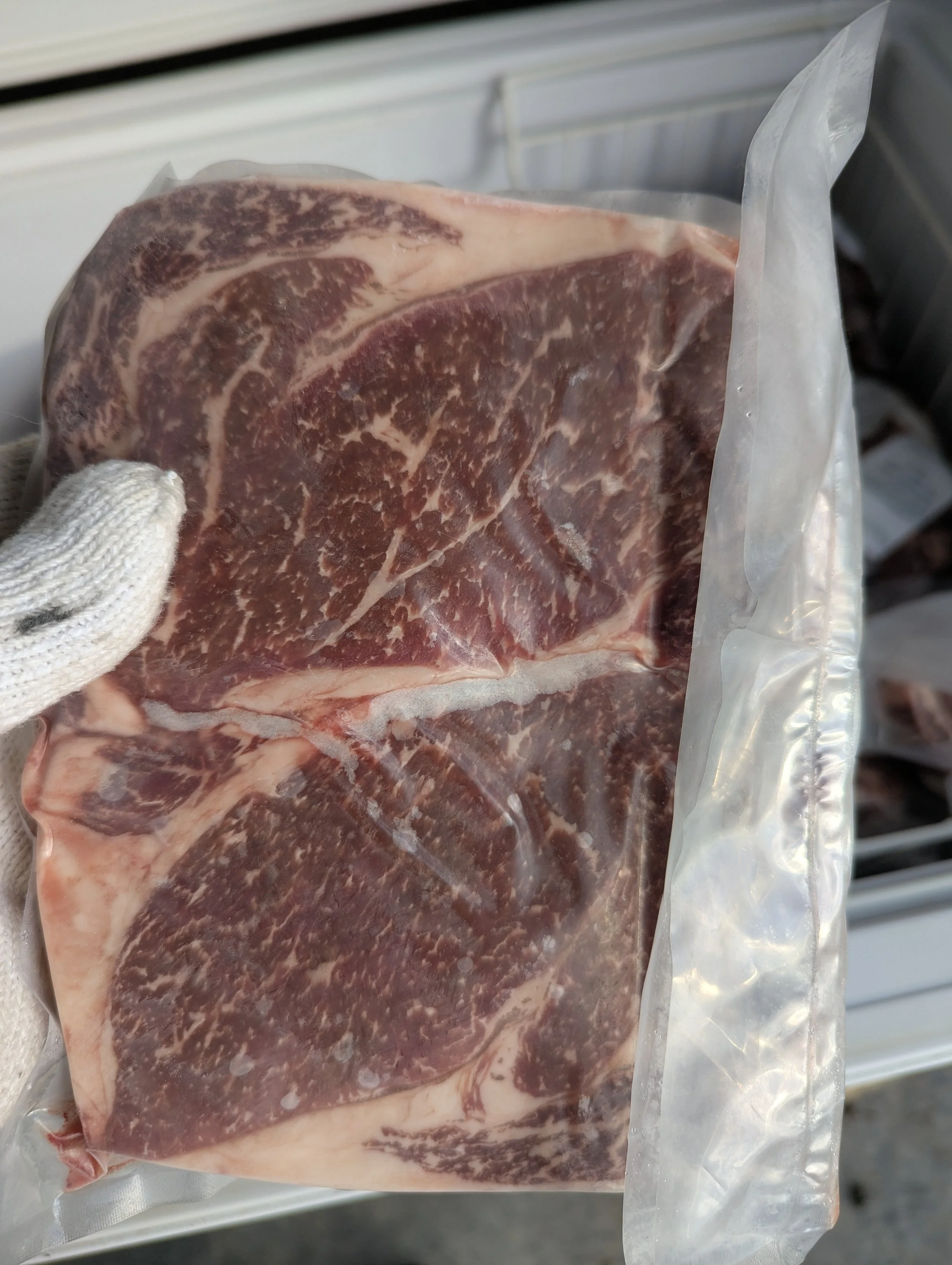 A sealed package of raw steak enclosed in vacuum plastic, held by a gloved hand.