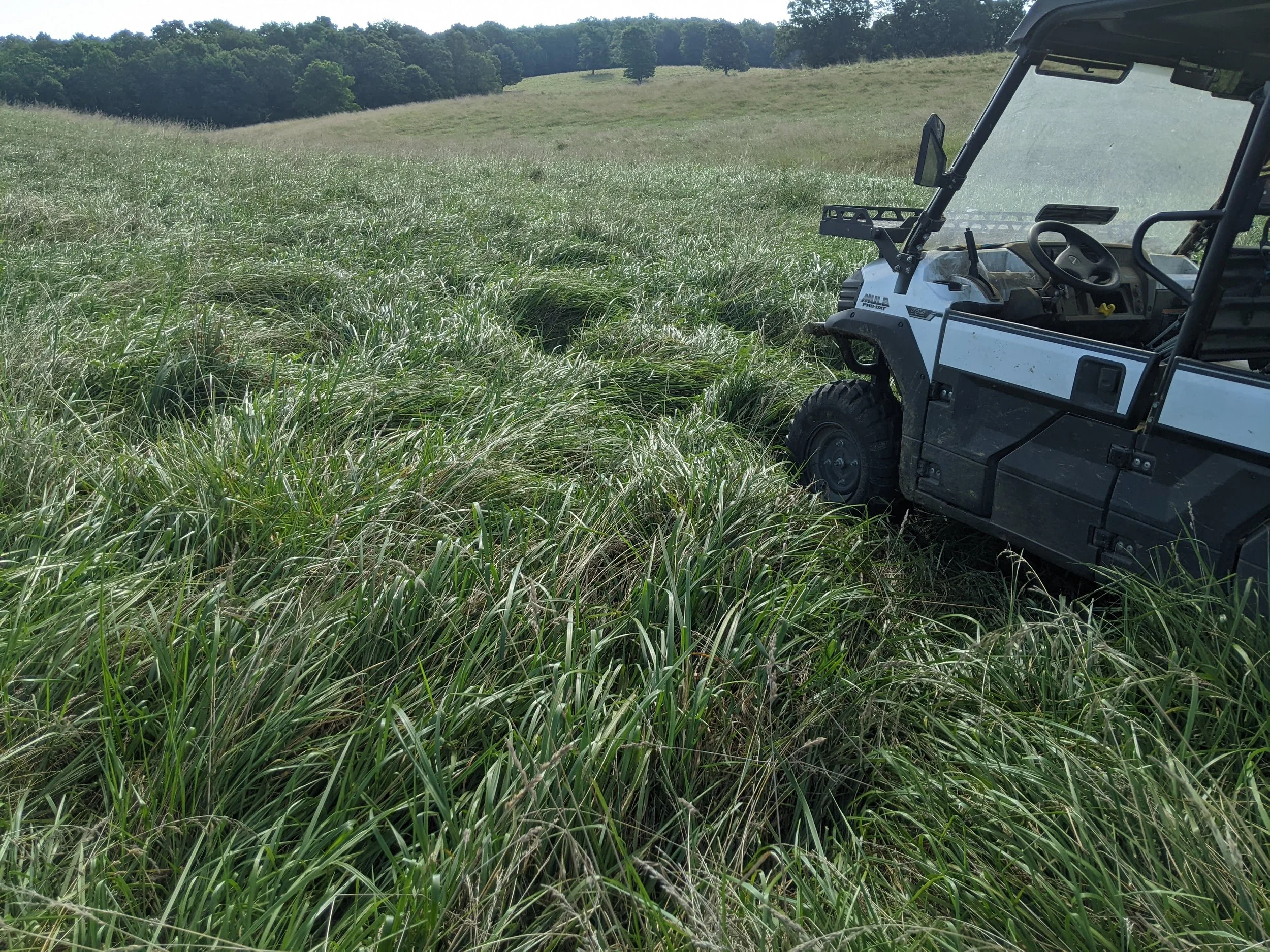 A utility vehicle on a grassy field with rolling hills and trees in the background under a clear sky.