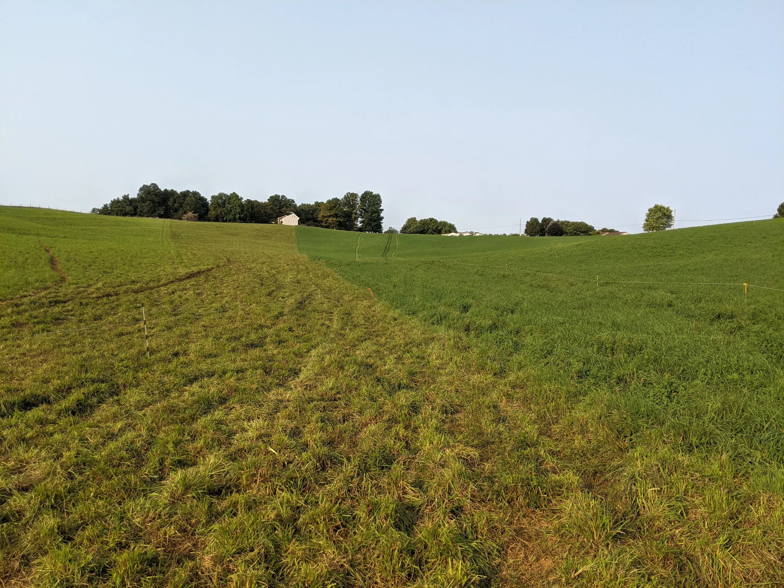 A landscape of rolling green fields with trees in the distance and a small house on the right side under a clear blue sky.