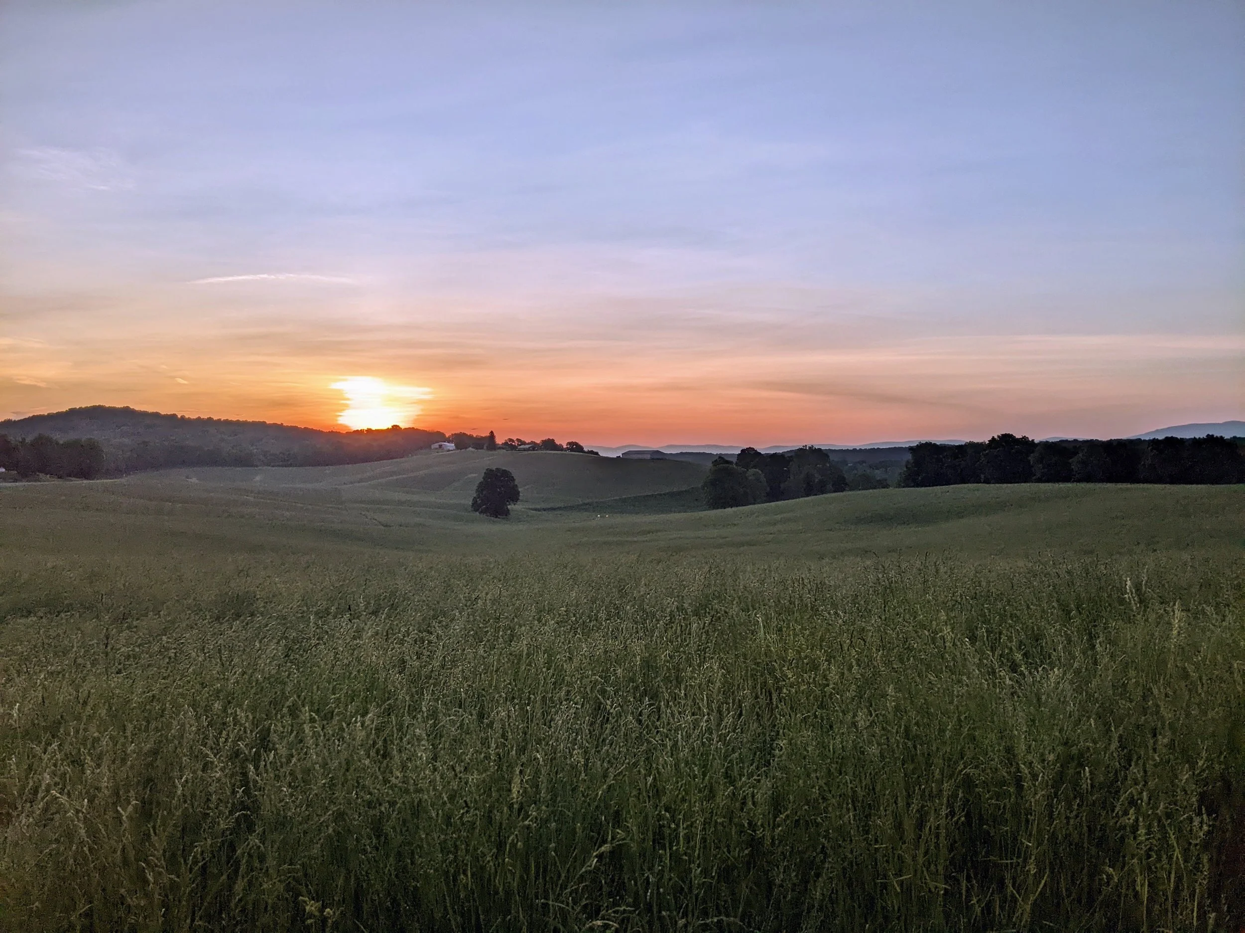 A scenic landscape of rolling green hills under a clear sky at sunset.