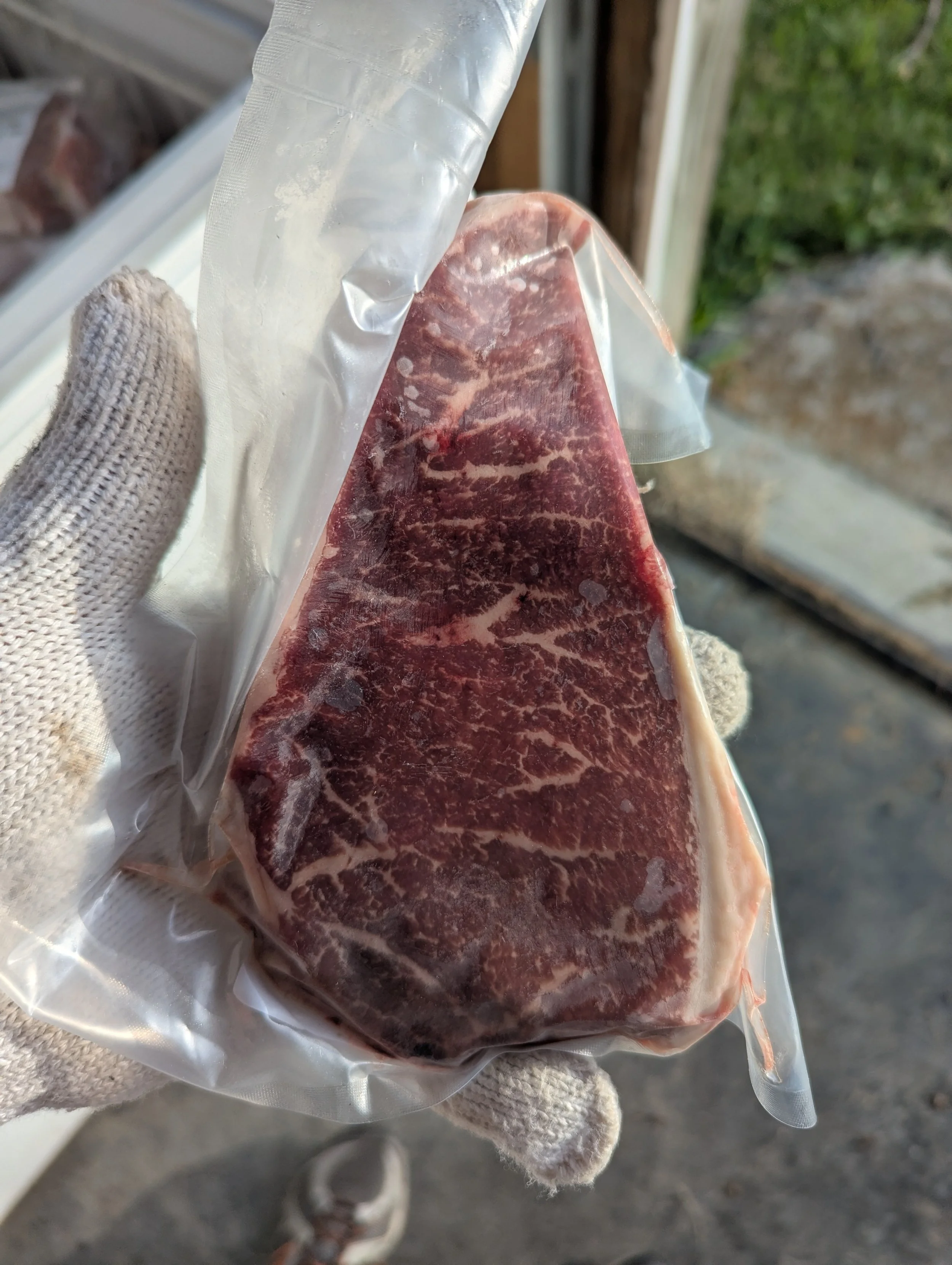 A piece of raw marbled beef steak inside a vacuum-sealed plastic bag, being held by a person wearing a white glove outdoors.