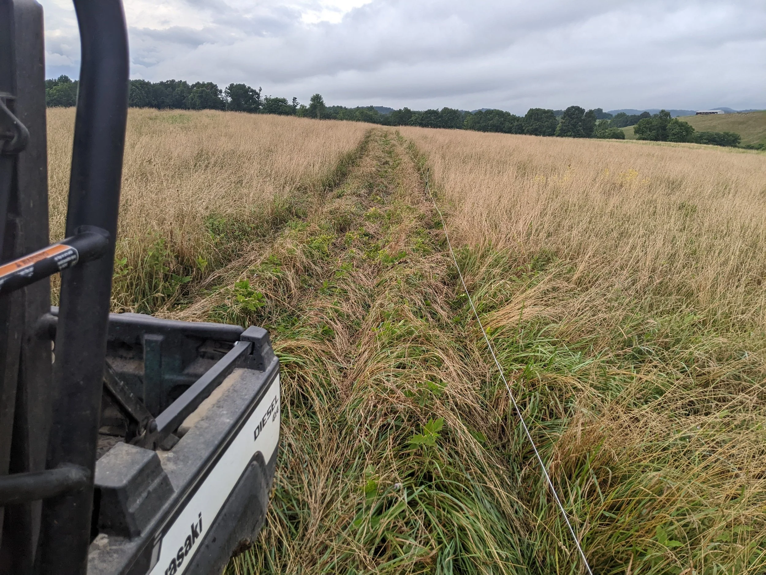 A view of a dirt path through tall grass in a rural landscape, with trees and hills in the distance under a cloudy sky. Part of a mower or tractor visible in the foreground on the left.