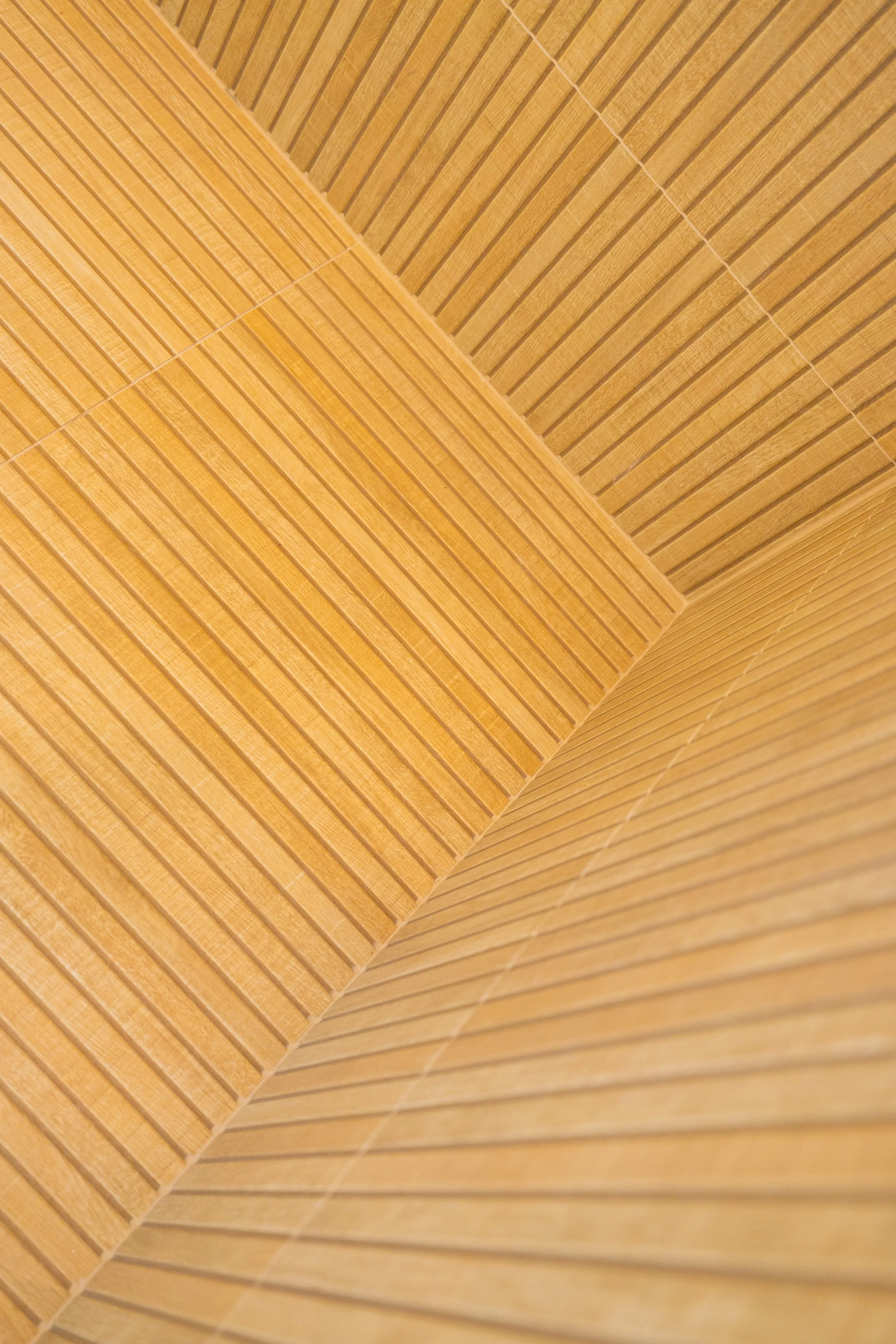 234A9486.jpg
