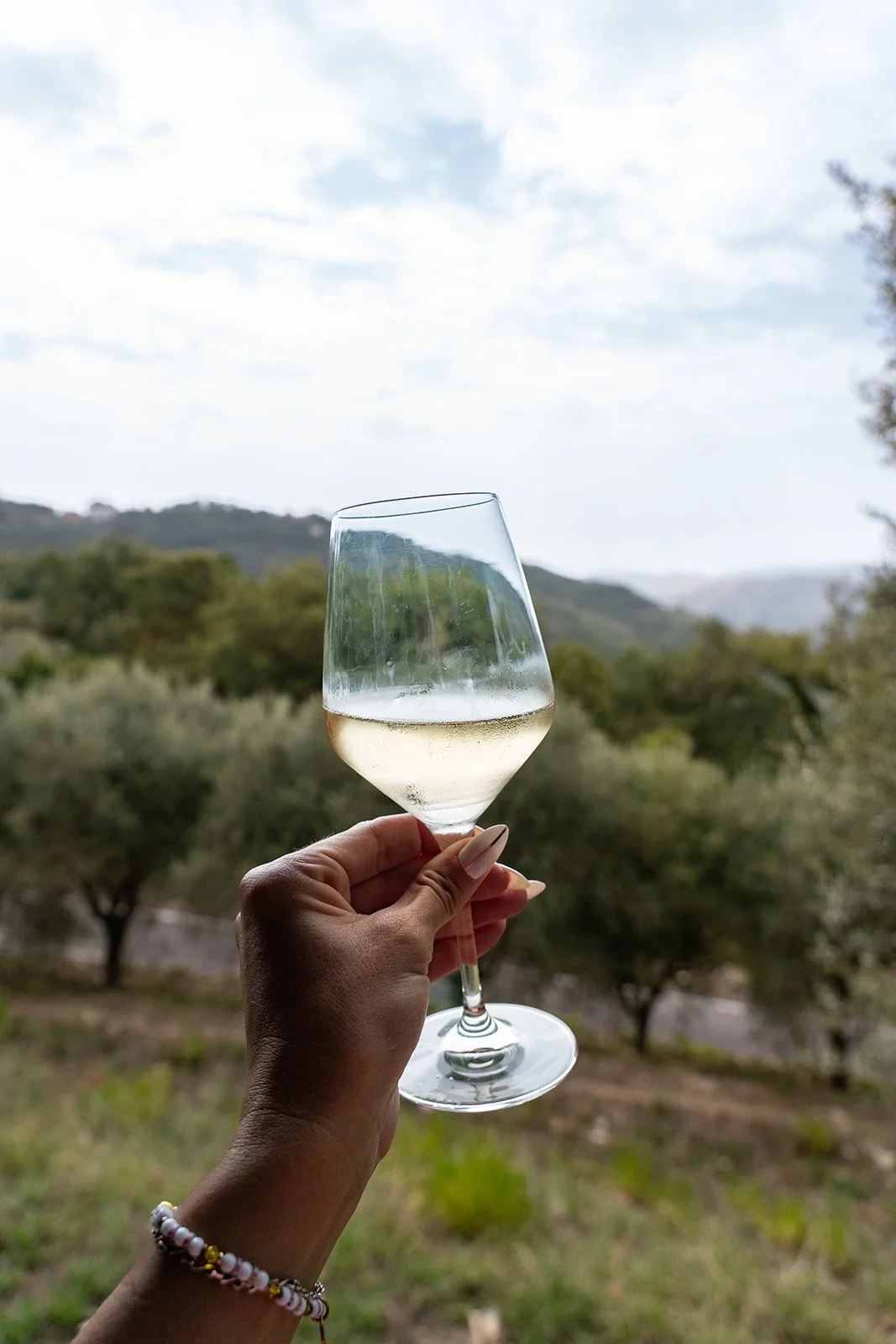 tour of italy wine tour