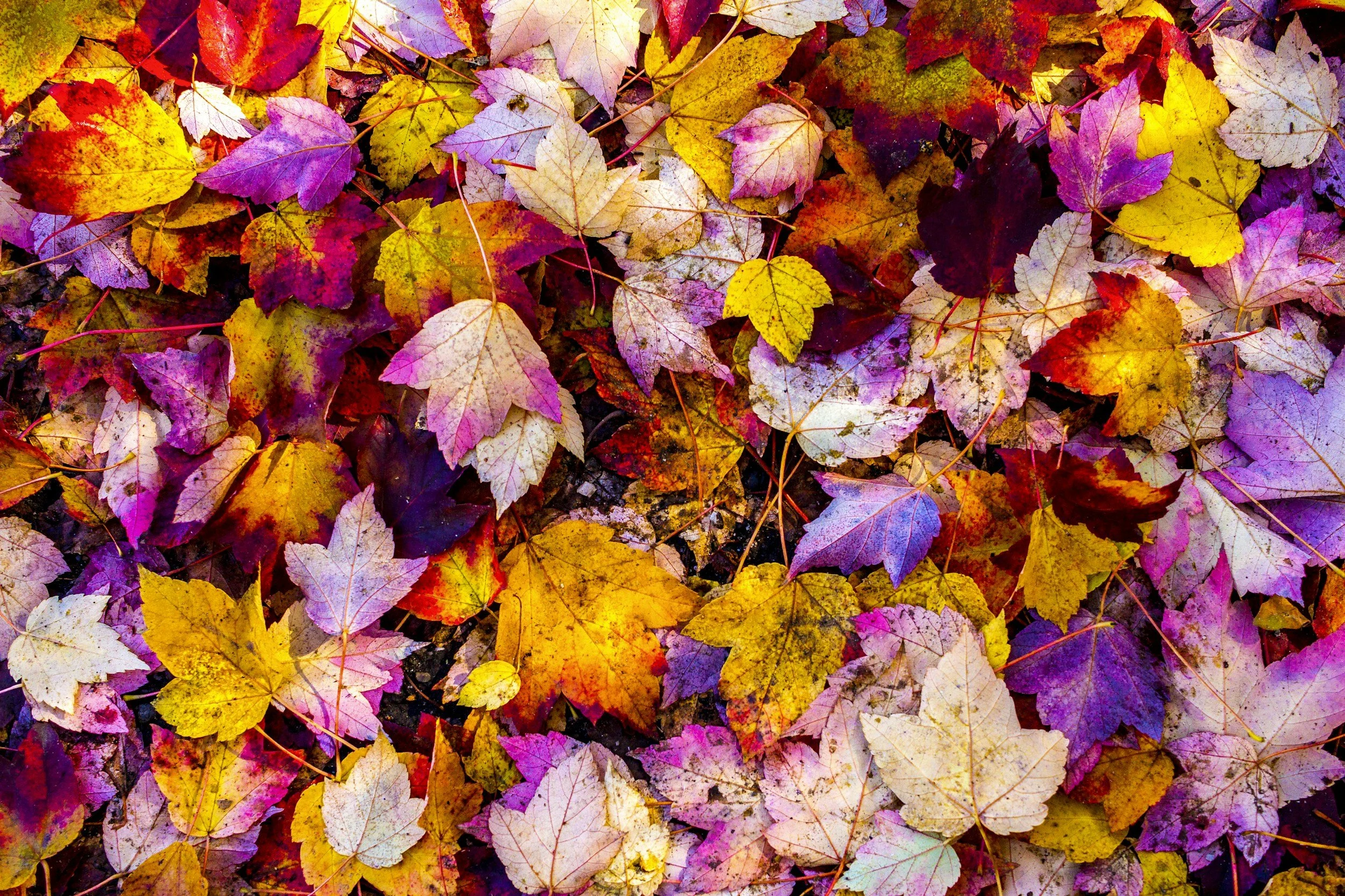 That September Feeling: You’re Not Alone in the Emotional Shift of the Season
