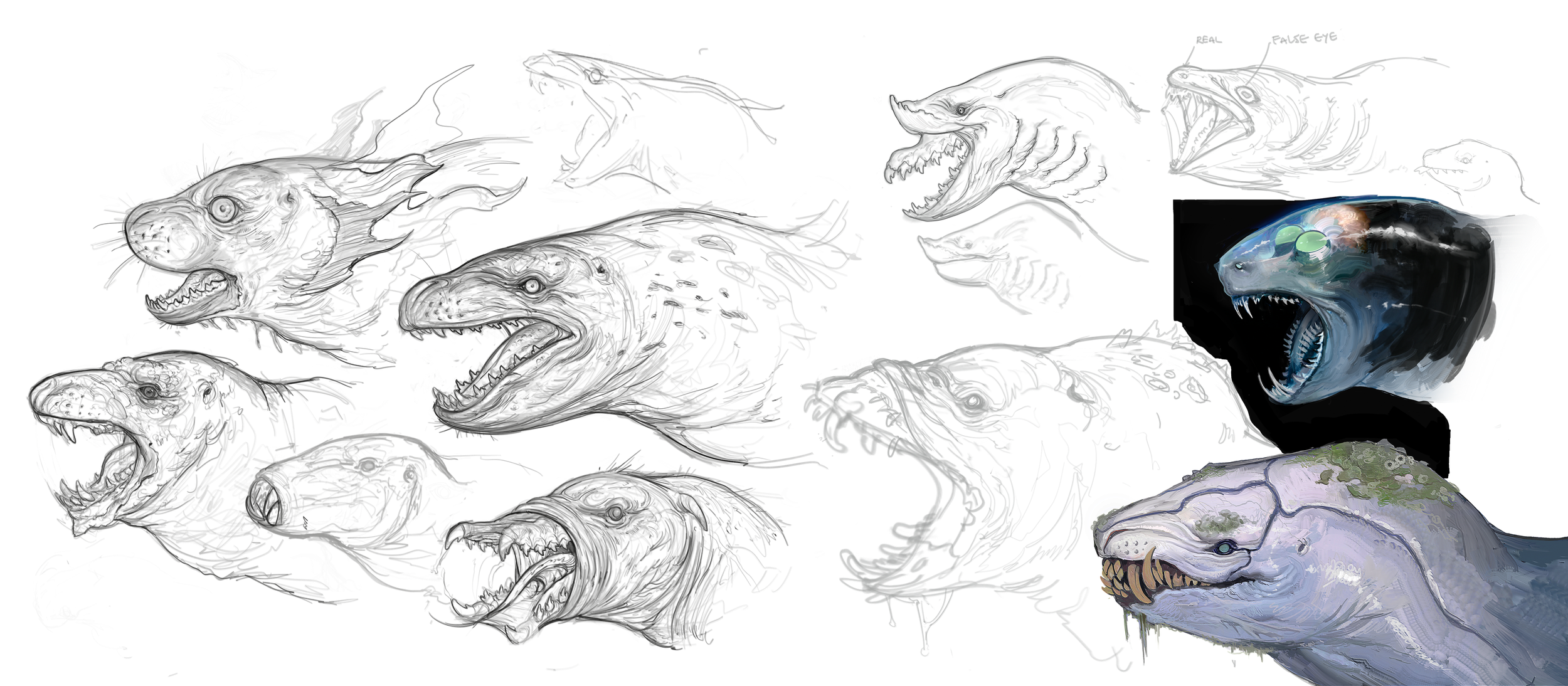 seal_3.png