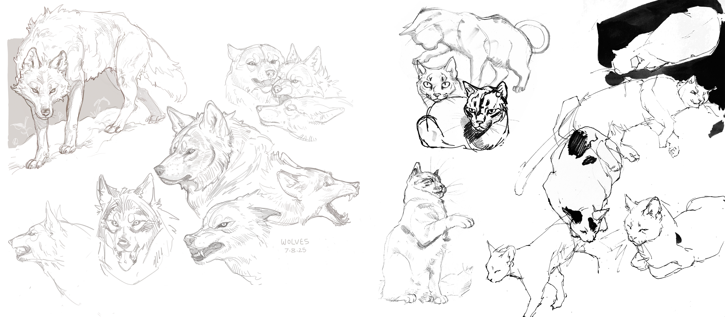 animals_4.png