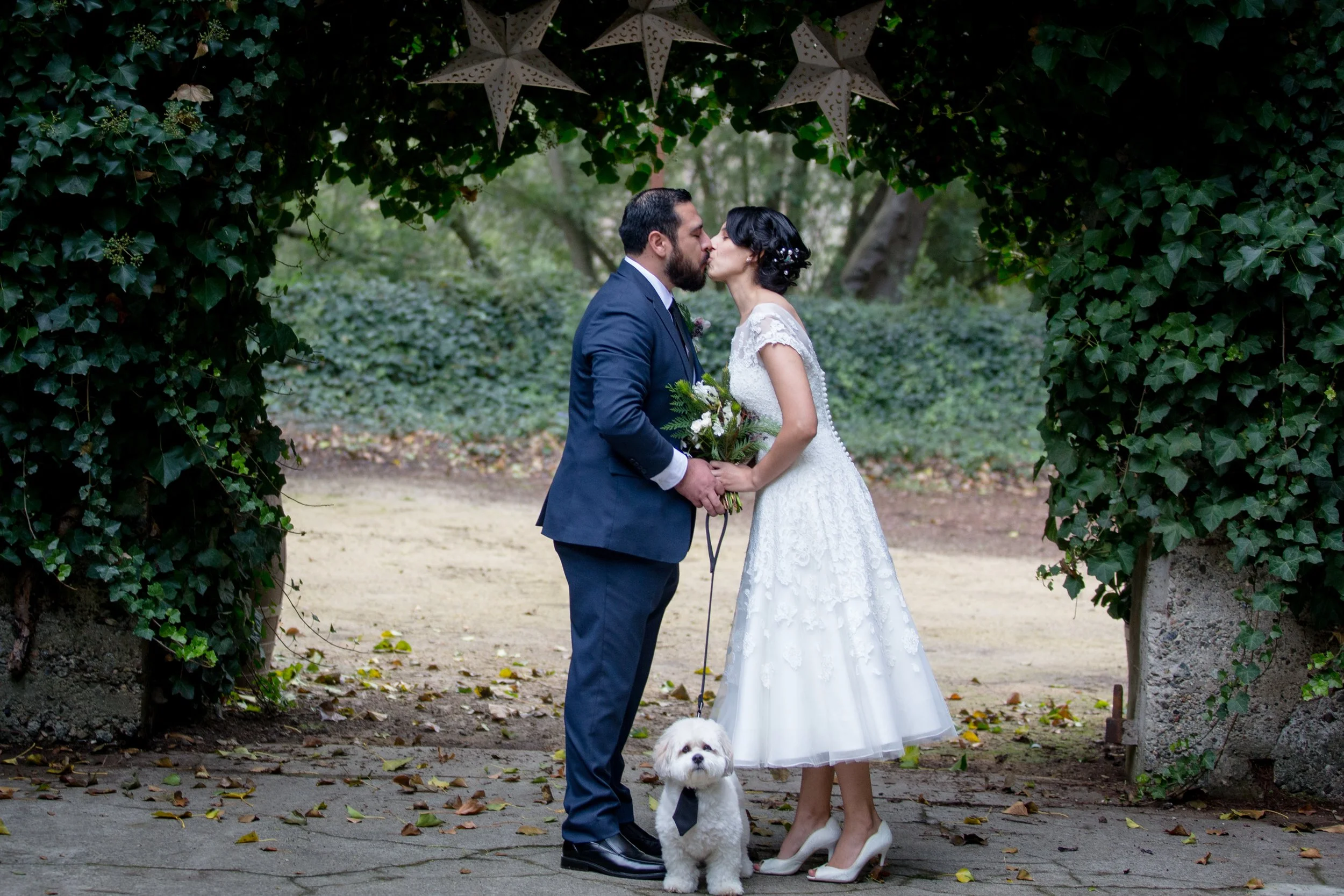 A bride and groom kissing under a leafy arch with star decorations, holding a bouquet, with a small dog wearing a tie standing between them.
