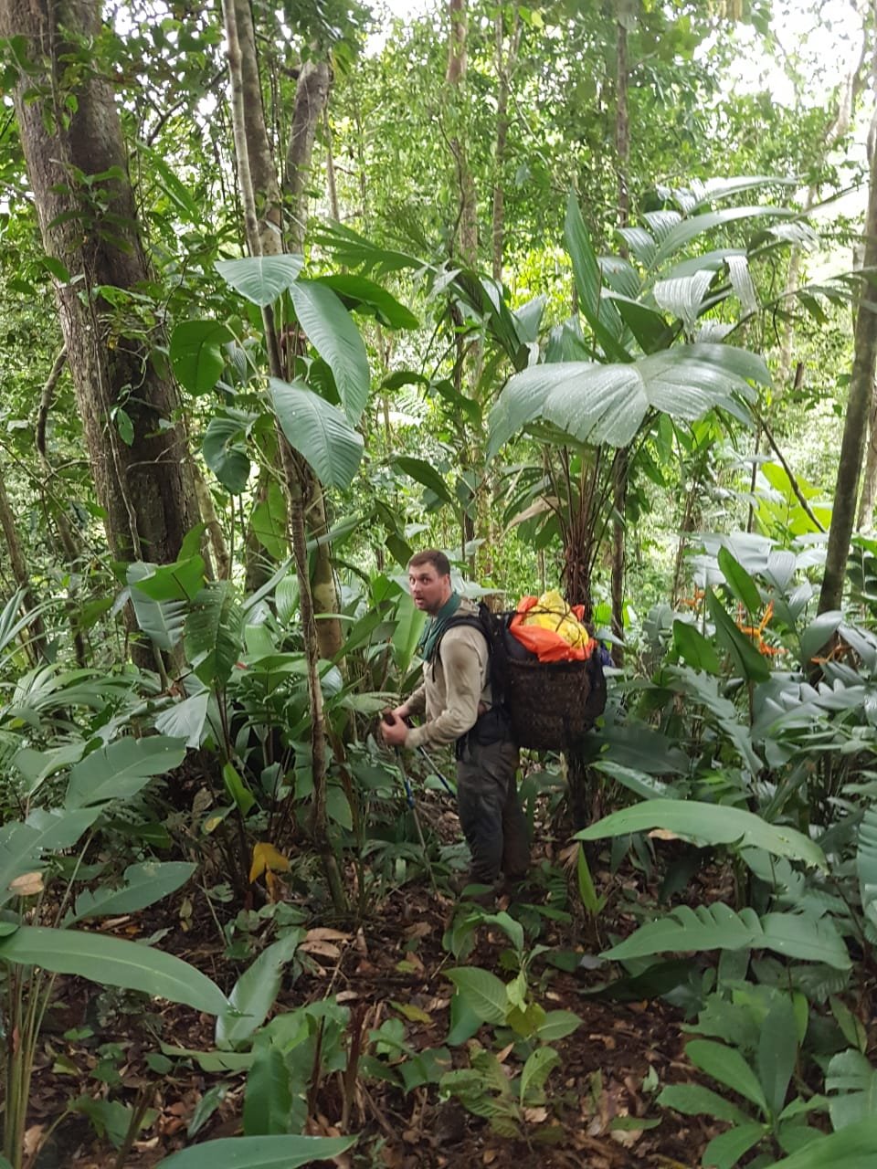 Jungle Emergency Medicine: Life-Saving Actions and Prolonged Care in Remote Jungle Emergencies