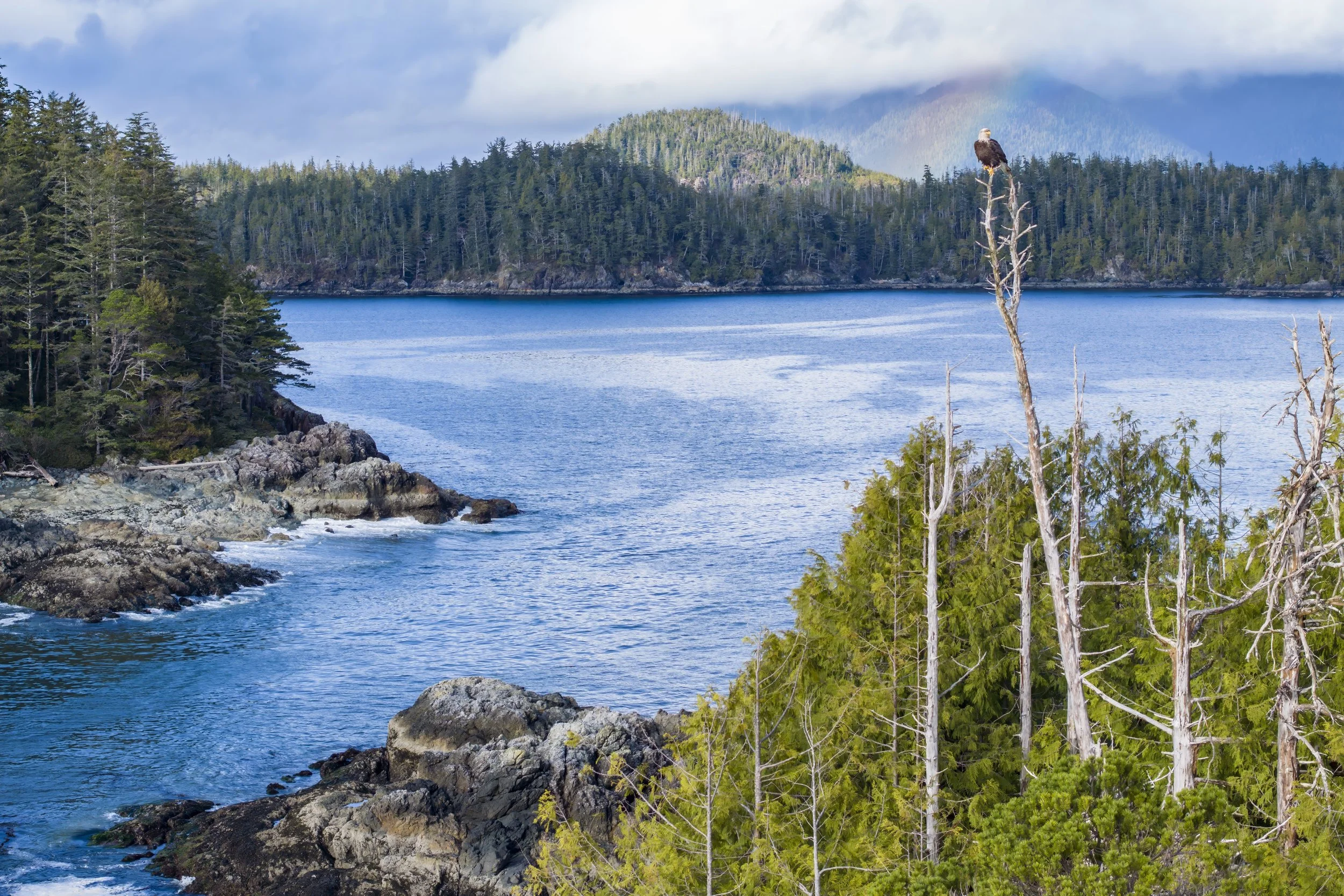 Canada West Coast.JPG