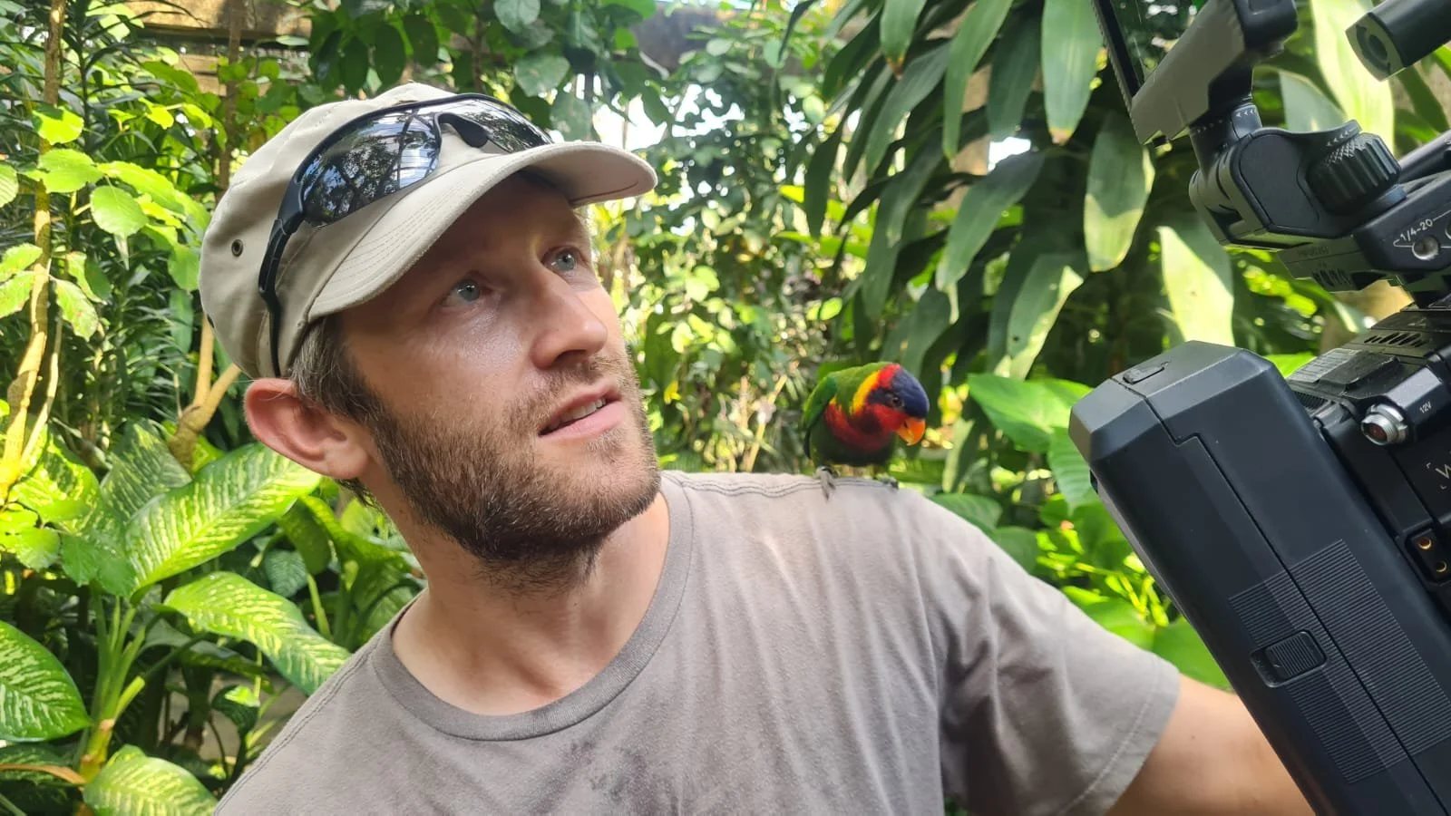 Moritz Katz - Seeing the Wild with Patience