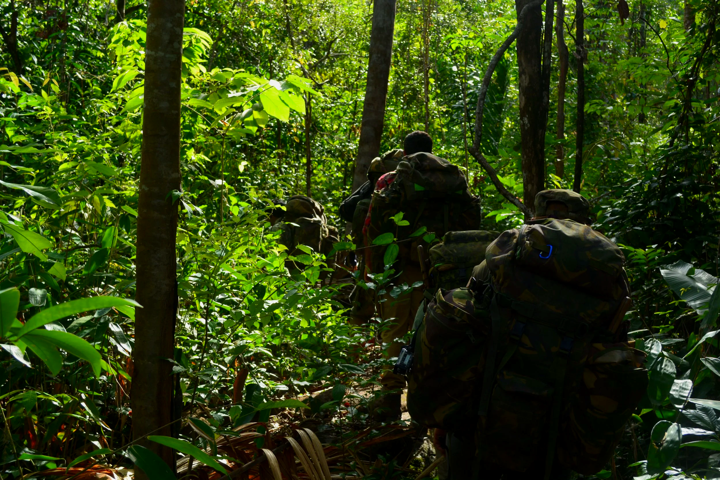 Soldiers walking in dense jungle with green foliage, carrying large backpacks and wearing camouflage uniforms.