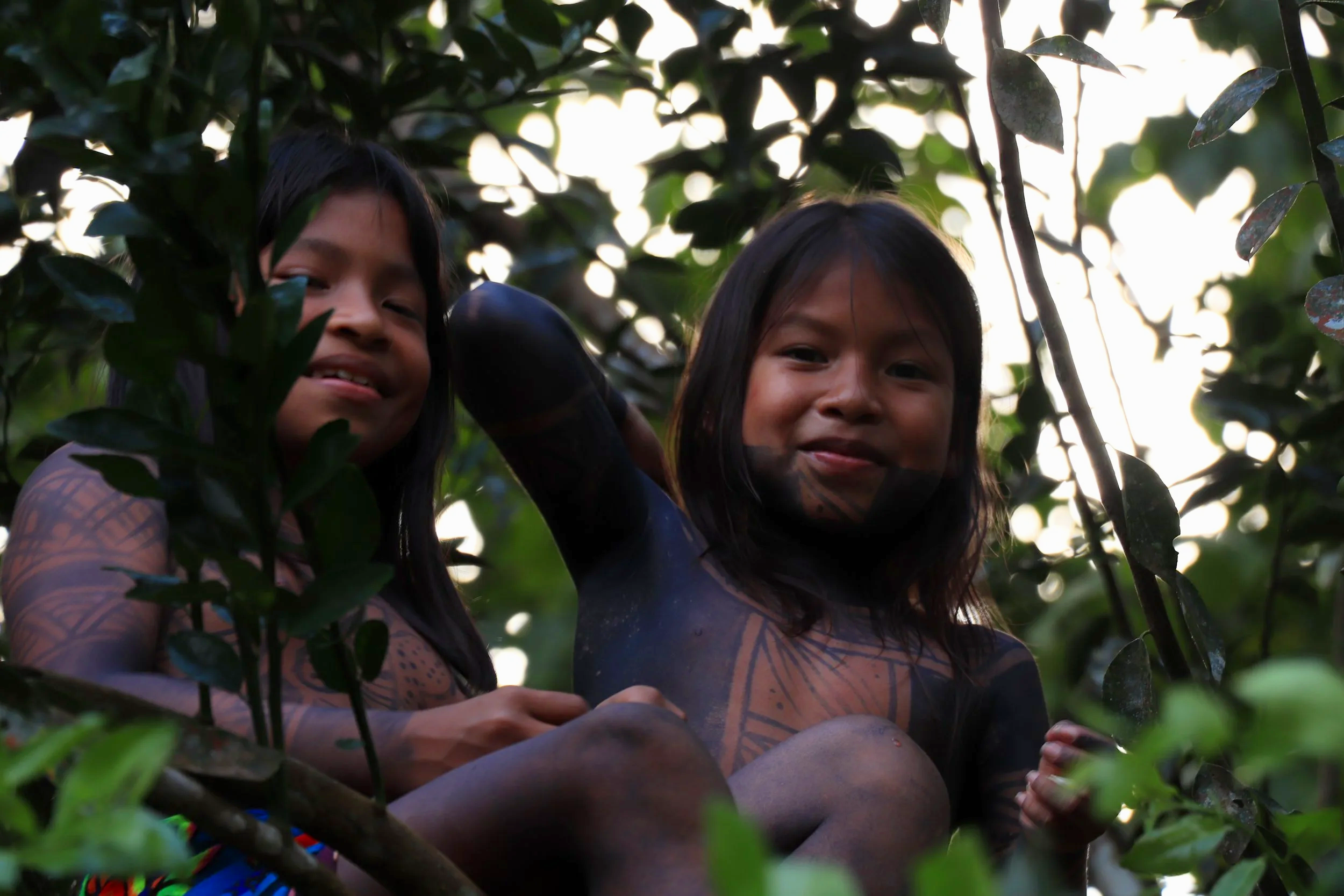Two indigenous children with traditional body paint, sitting among dense green foliage during sunset.