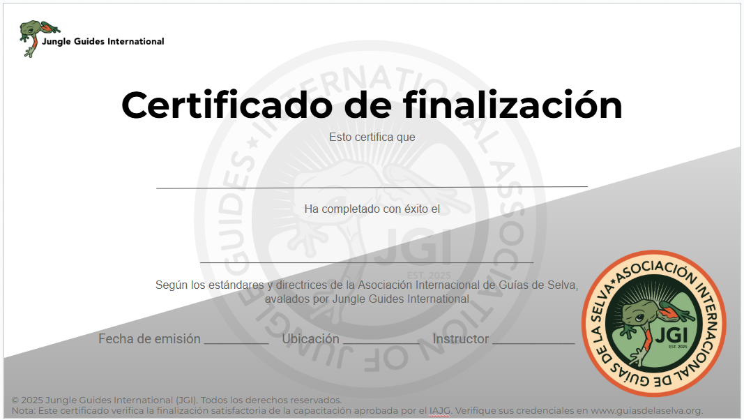 Certificate Spanish.png