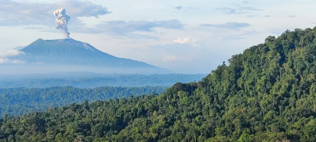 Wild Halmahera: Jungle Survival Trek - Indonesia