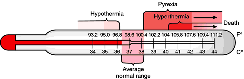 A medical thermometer illustrating hypothermia, normal, hyperthermia, and hyperthermia leading to death, with temperature ranges in Fahrenheit and Celsius.