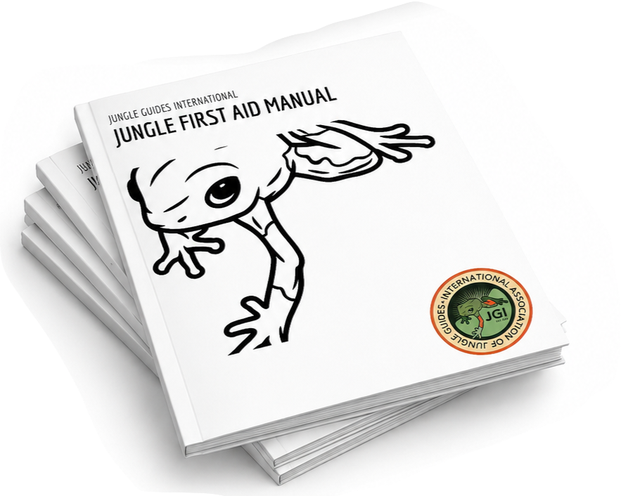 firstaid-mockup.png