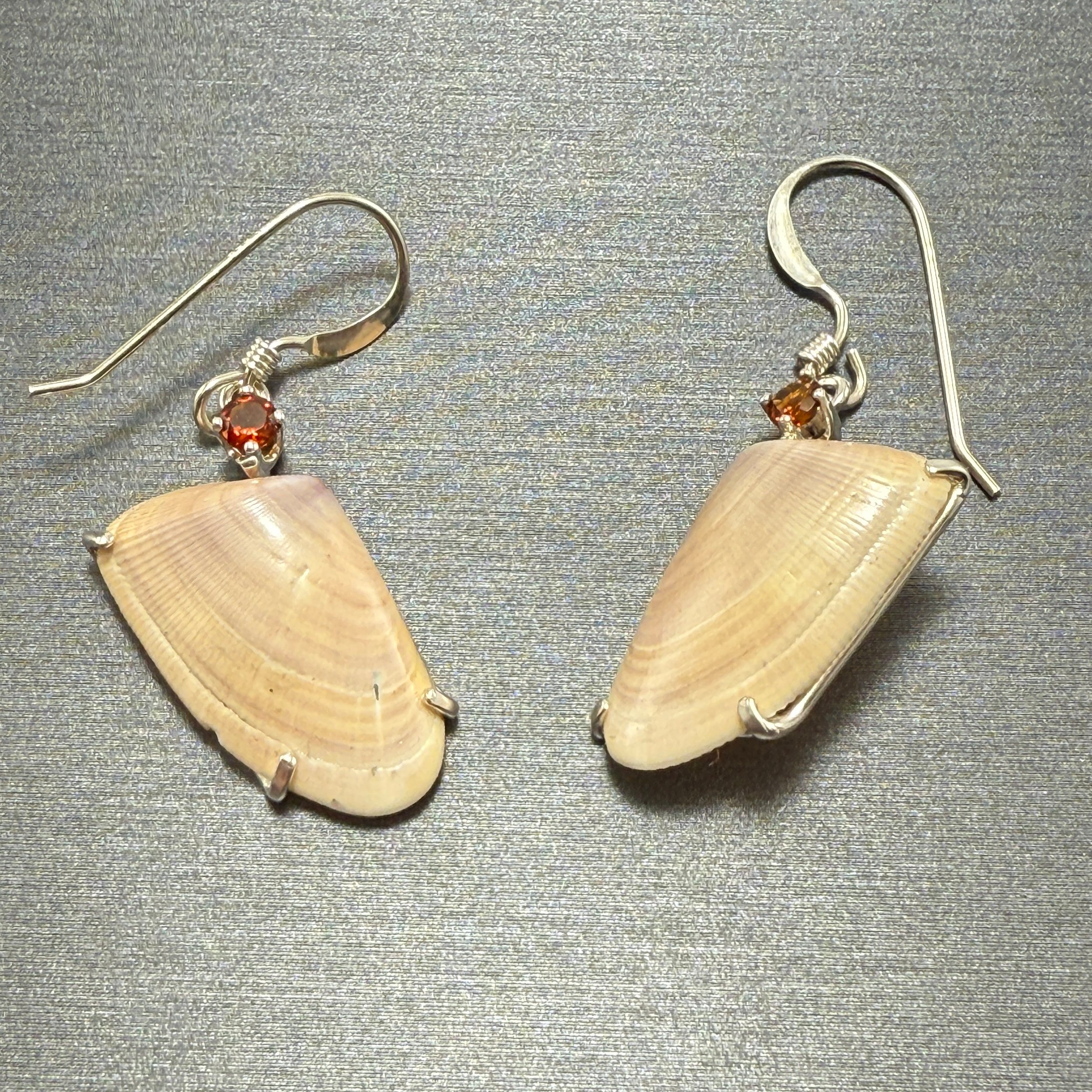 Seashell Earrings