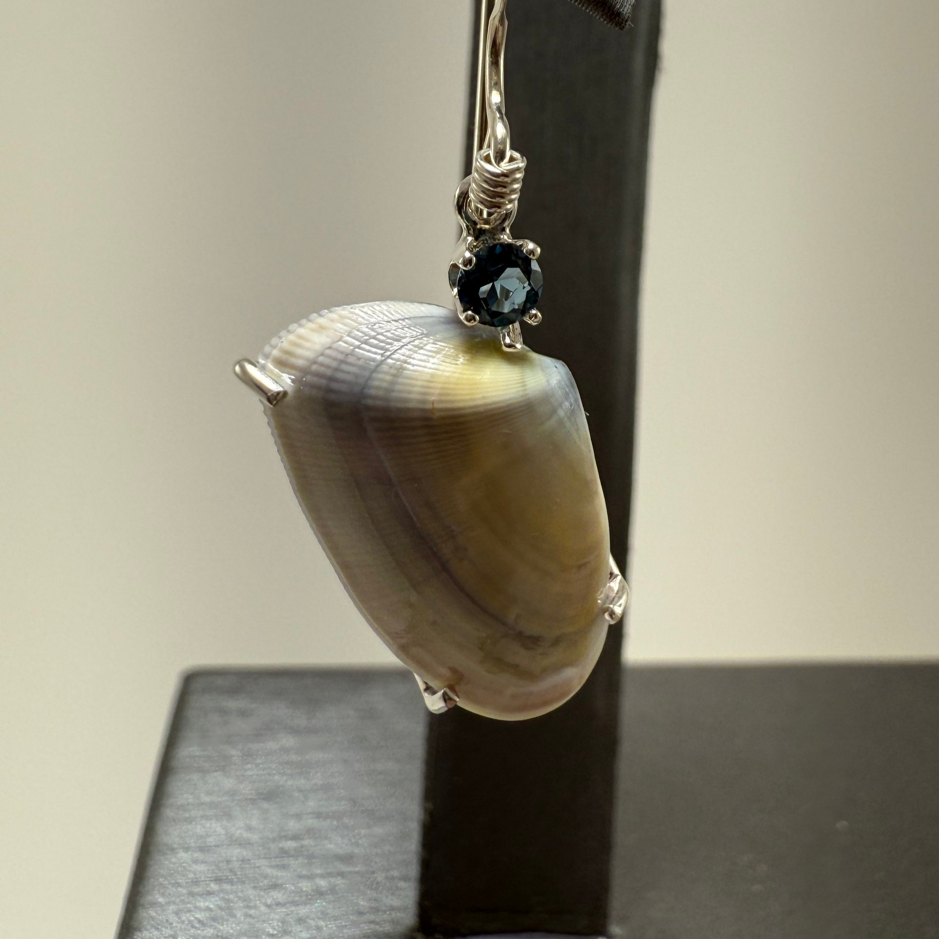 Seashell Earrings