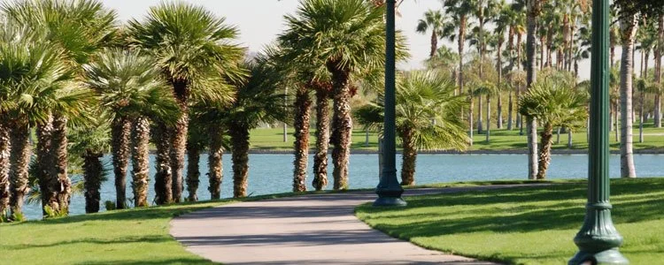 Goodyear’s Transformation: A Thriving Community