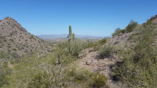 Hitting the Trails: Experience All the Mountains