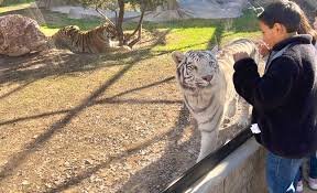 Much More Than a Zoo: Adventure Awaits