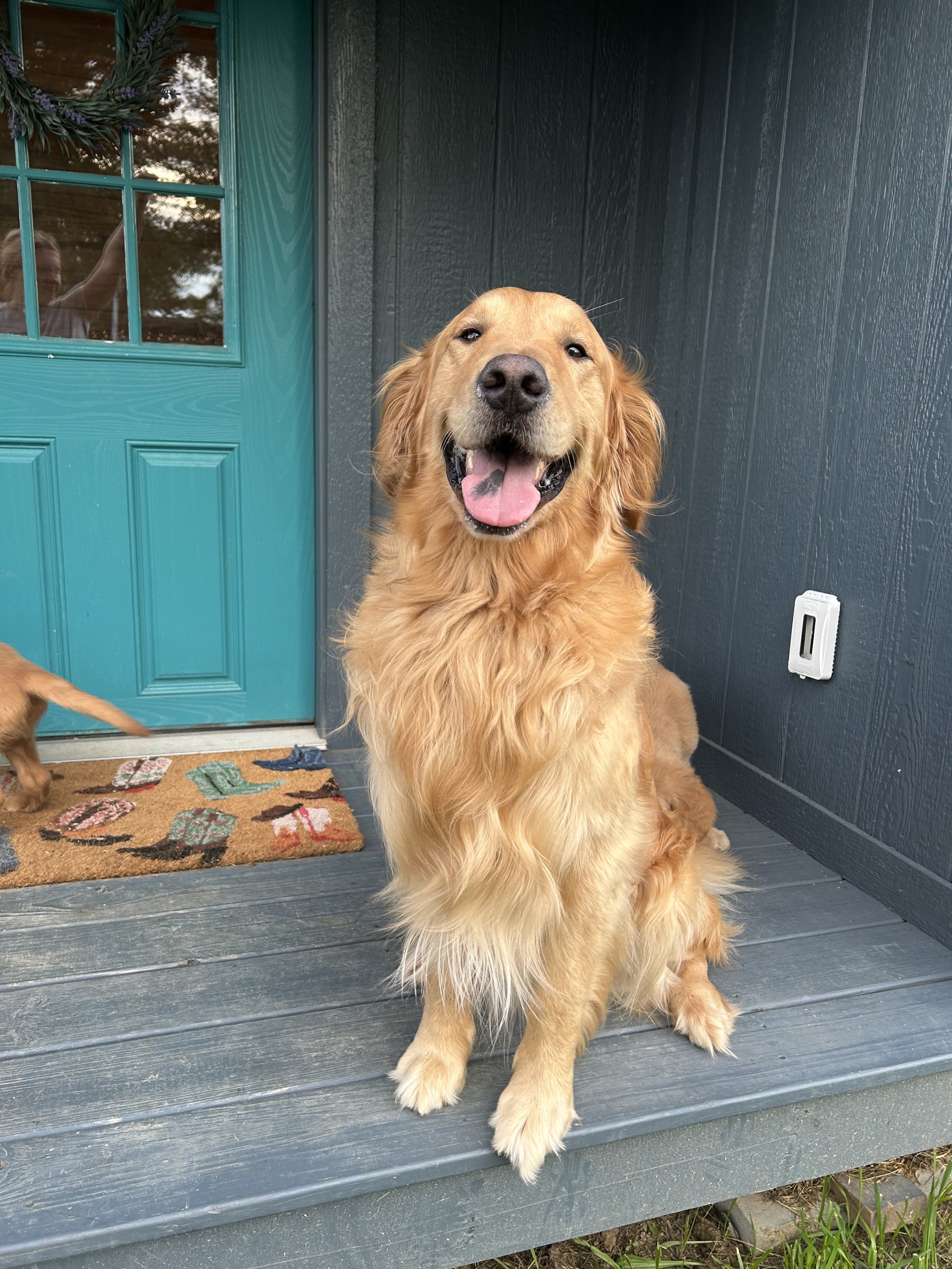 A happy golden retriever sitting on a gray porch with a teal door and a Christmas wreath, with a partially visible smaller dog next to it.