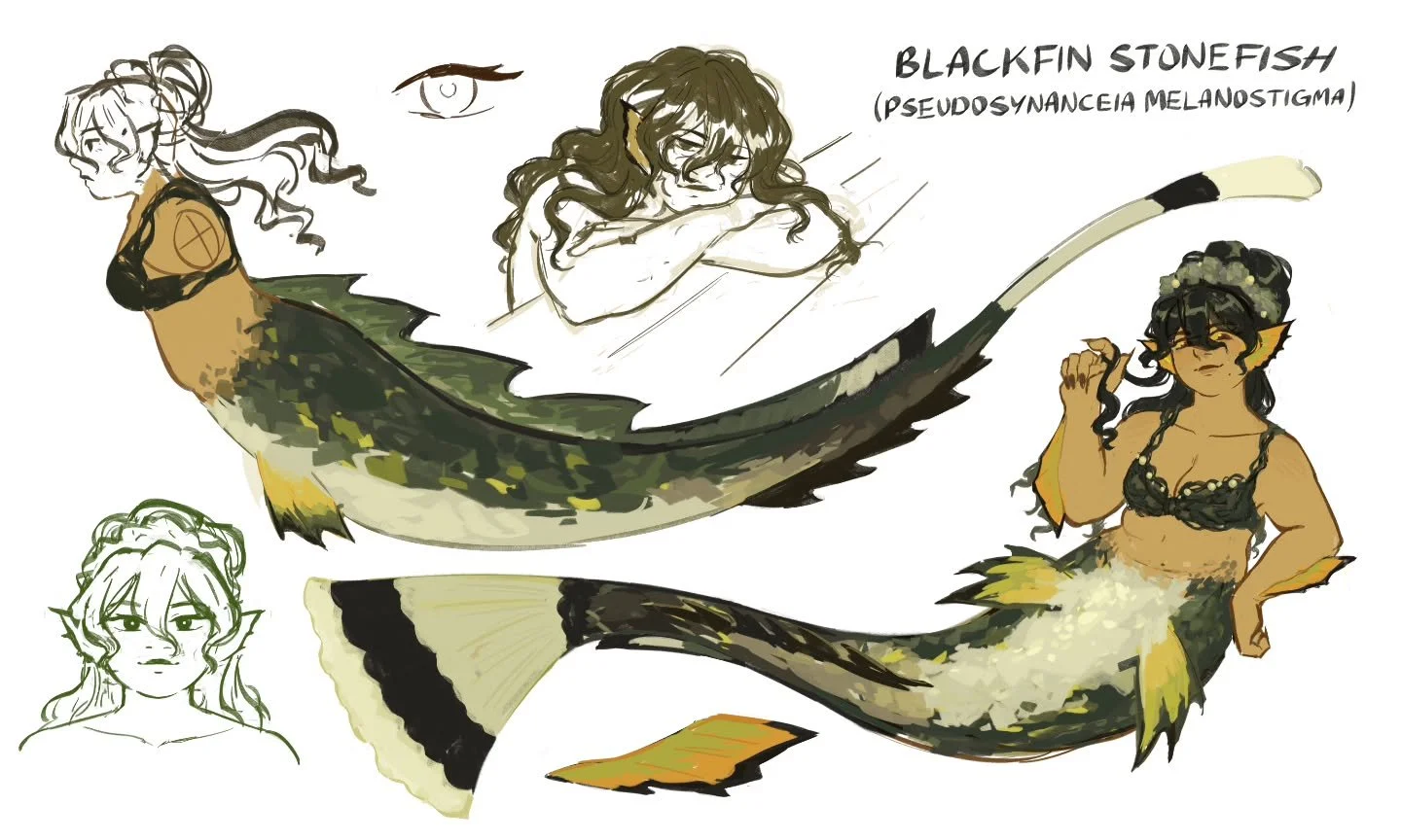 Day 2 of my #mermay week posts is here! This is the redesign for the green siren gal from the original piece (see last slide for reference). I took some inspo from the blackfin stonefish, a venomous species found in the muddy bottoms of the northwest