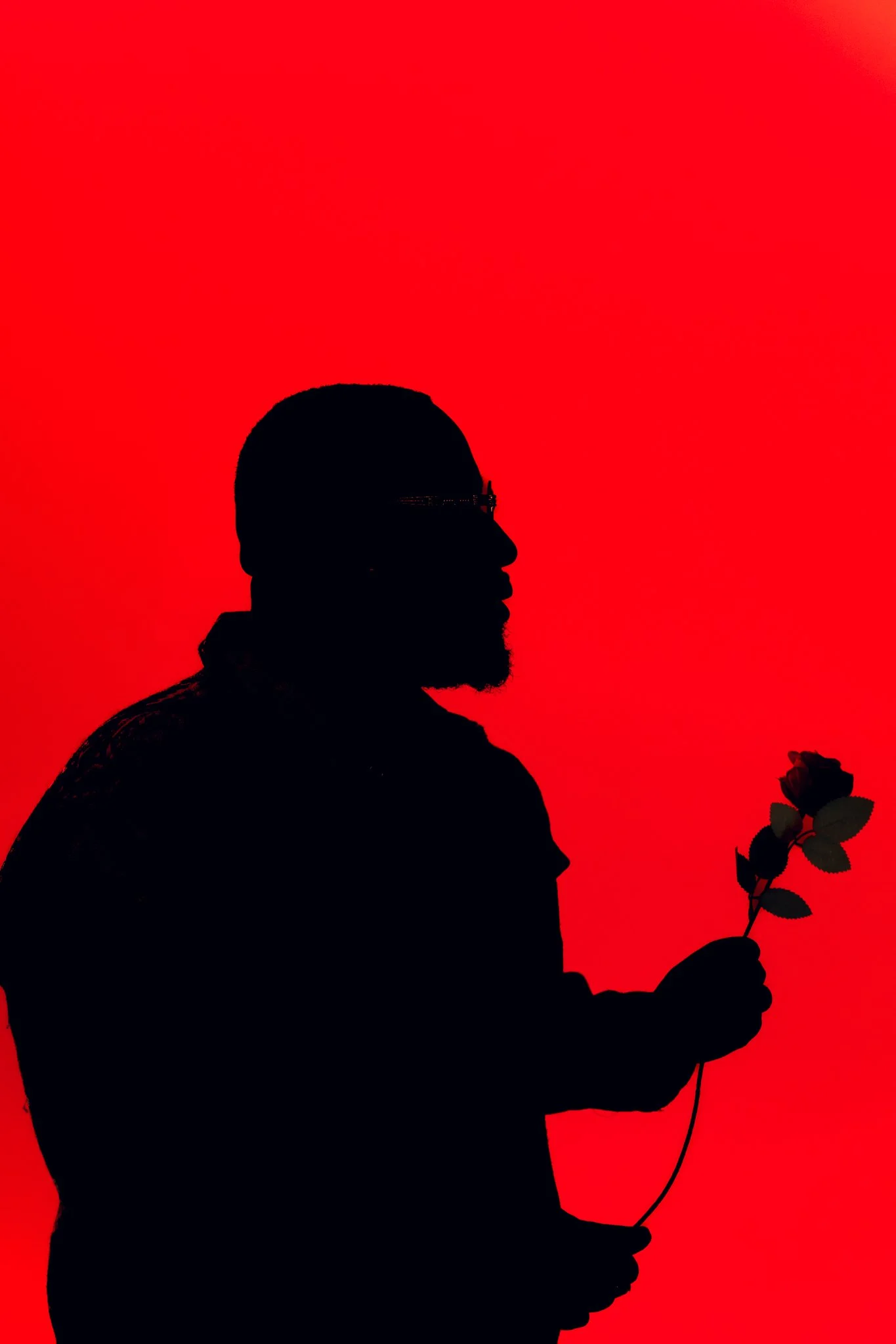 Silhouette of a man with a beard and glasses holding a flower against a red background.