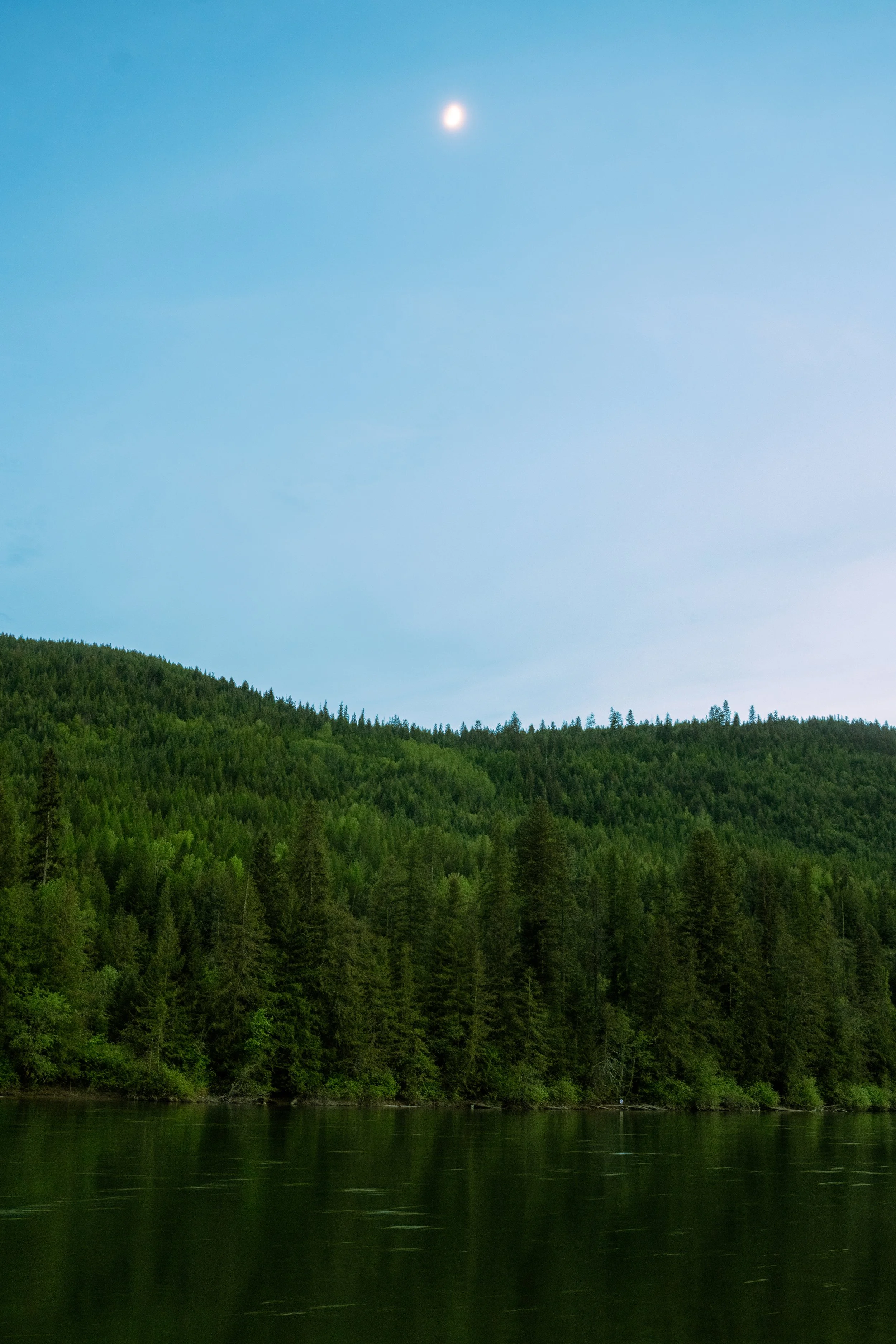 A scenic view of a forested mountain landscape with a body of water in the foreground, a distant tree line, and a clear sky with the moon visible.