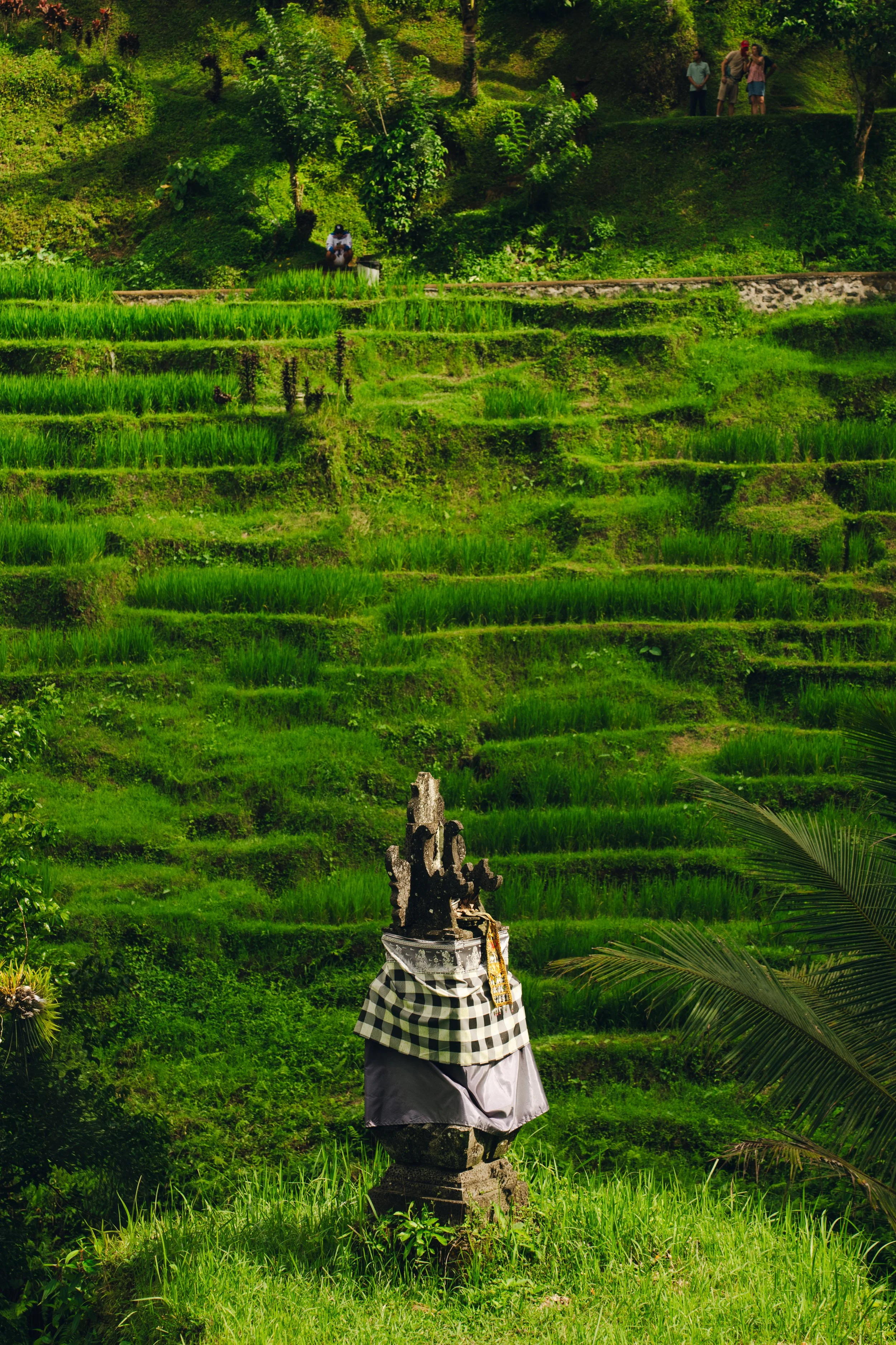 Traditional Balinese shrine in rice terraces with a carved stone statue dressed in cloth in the foreground, lush green fields and trees in the background, and people observing from the top of the hill.