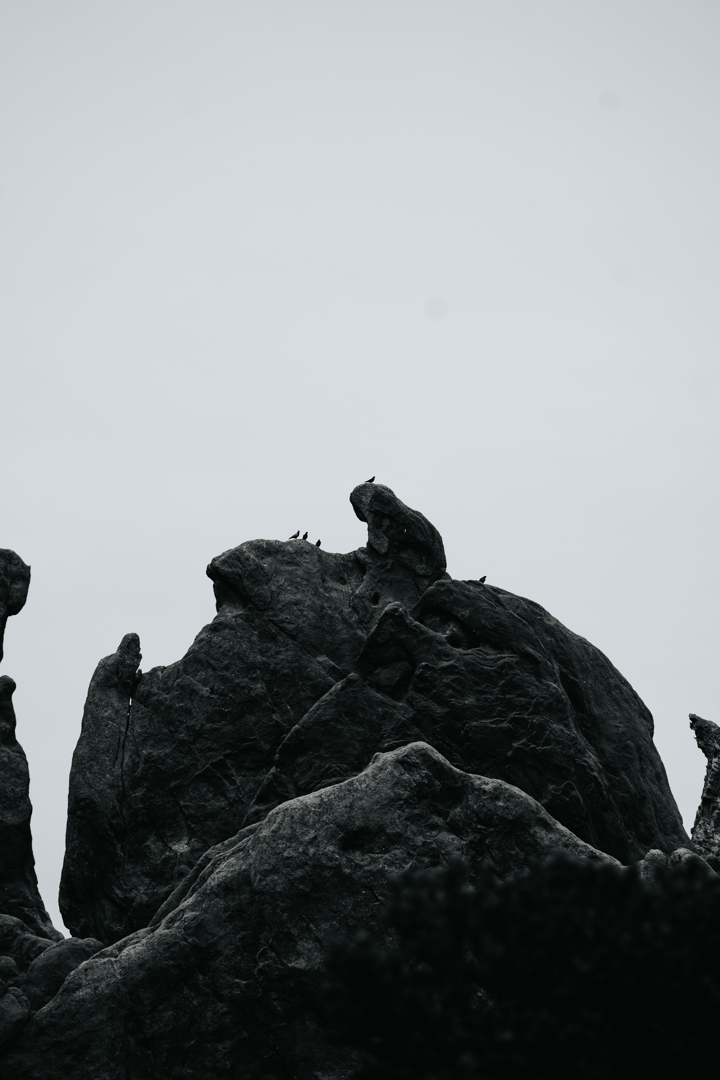 Dark, jagged rocks against a light, overcast sky with a few birds perched on the rocks