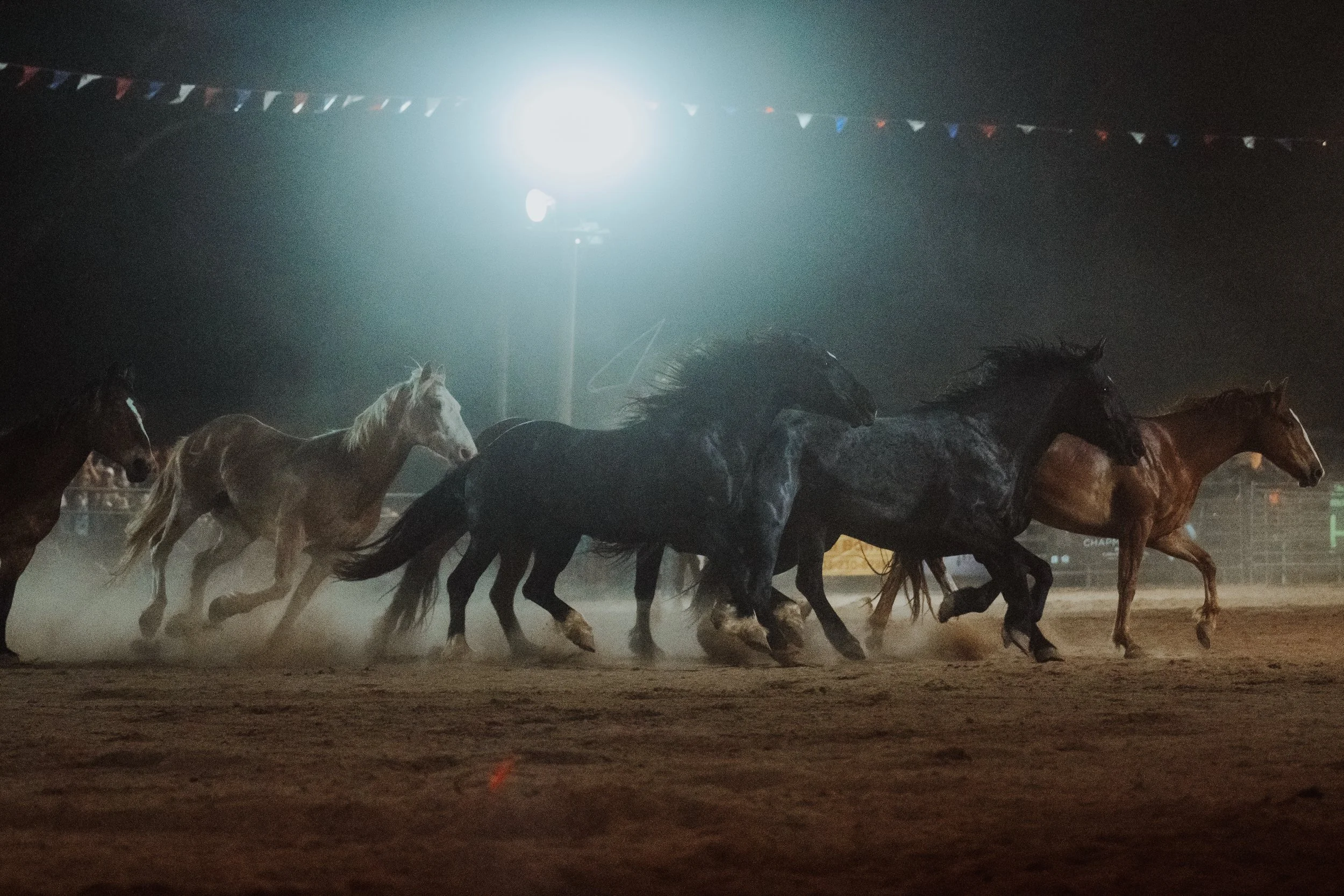 A group of galloping horses running on a dust-covered track under bright lights at night.
