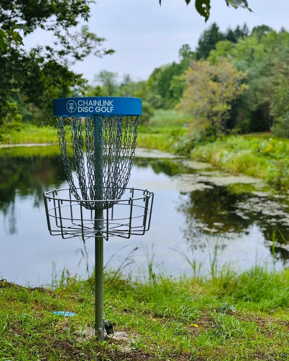 DISC GOLF — Your Site Title
