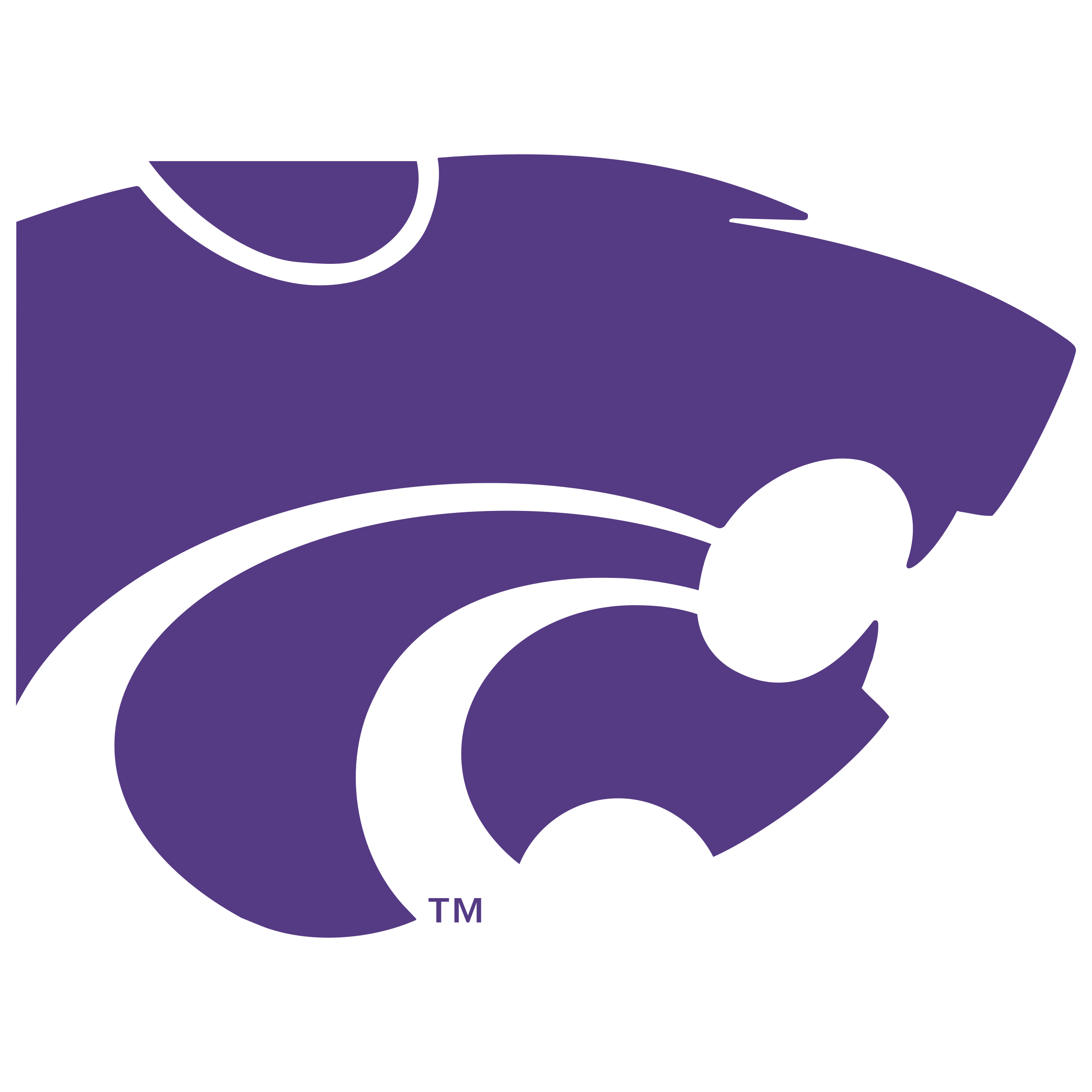 kansas-state-wildcats-logo-png-transparent.png