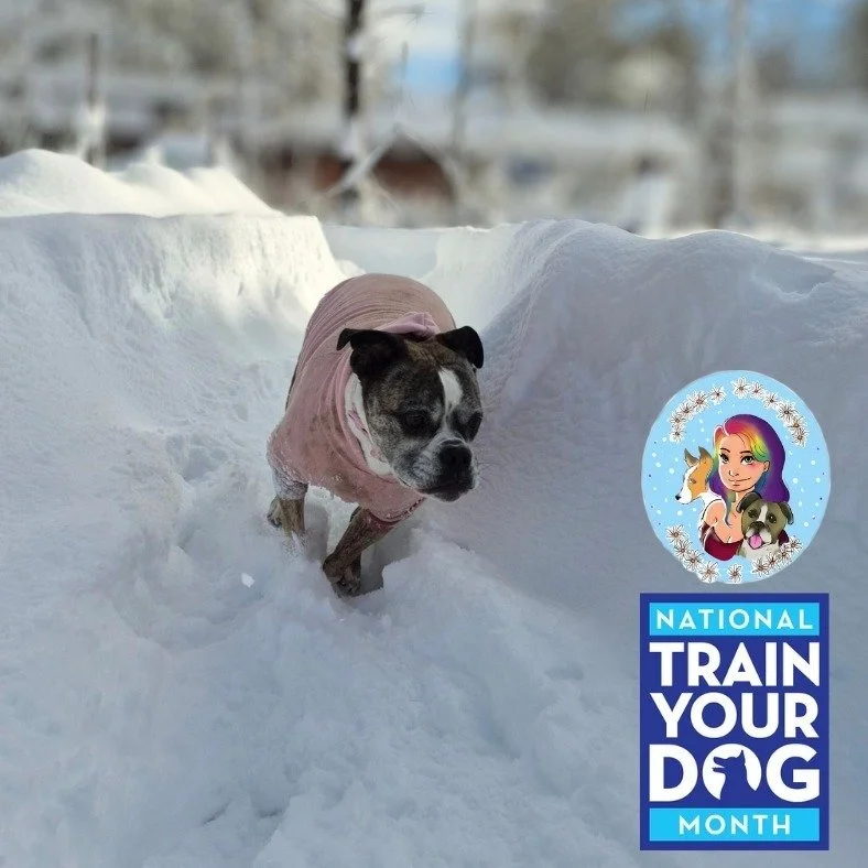 2026 Resolutions check in! 

We are in the middle of January, have you been maintaining your new year resolutions and/or goals?  Have you changed or abandon any?
Let me know in the comments! 💬

I challenge pet parents to stay consistent with their d