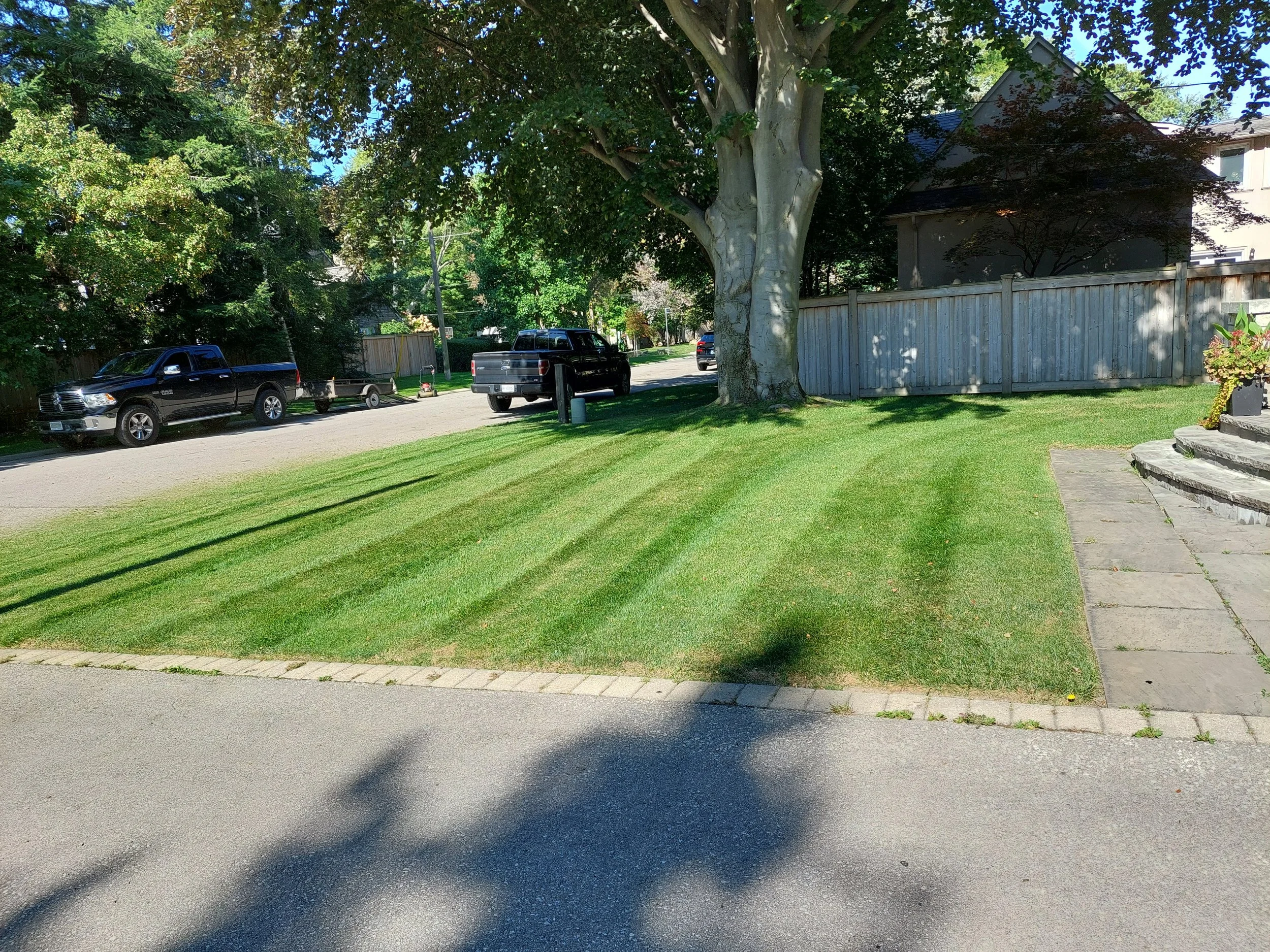 Suburban street with black pickup trucks parked, neatly mowed lawn with linear patterns, large tree, and a wooden fence surrounding a house.