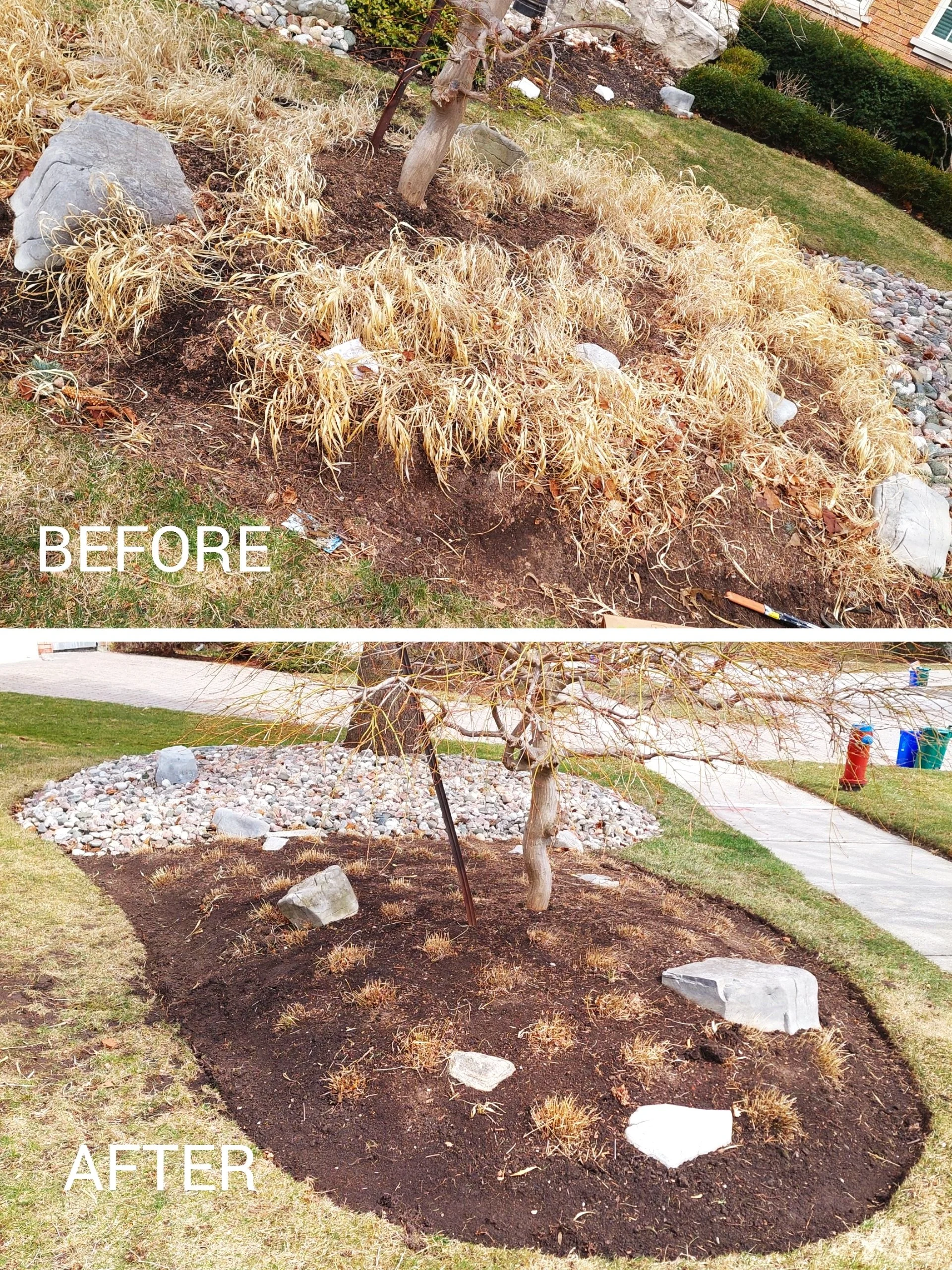 Before and after images of a landscaped garden area. The "Before" image shows overgrown and neglected plant beds with dry grass around a tree. The "After" image displays a well-maintained garden with cleanly edged, mulched soil, some rocks, and trimmed plants around the tree.