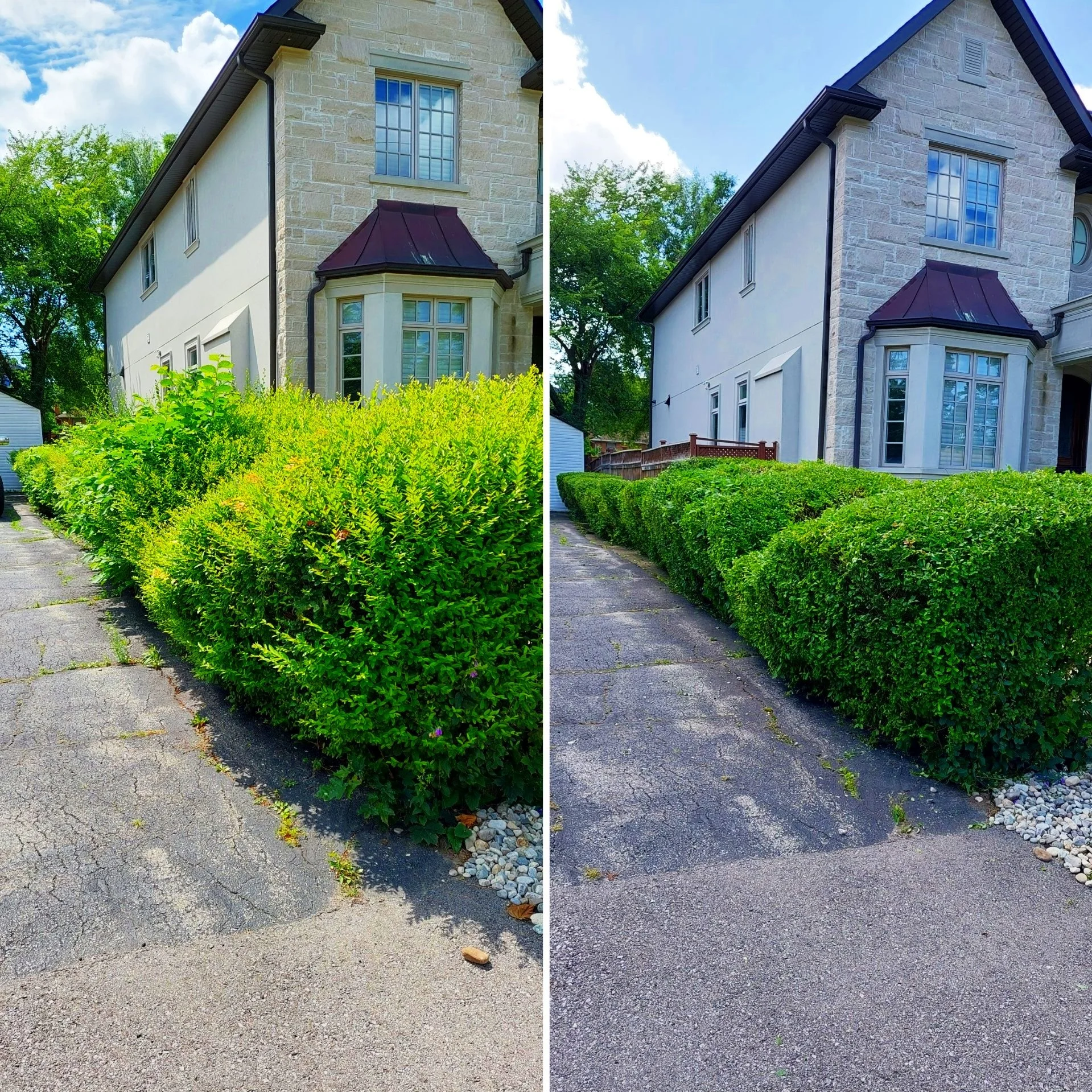 Side-by-side comparison of a house's driveway and hedge before and after trimming, showcasing the neatly trimmed bushes and tidier appearance in the after photo.