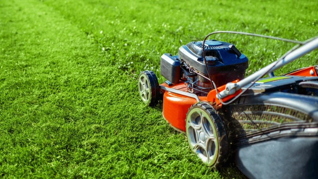 Lawn mower cutting grass in a yard