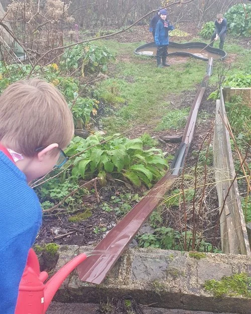 Why Is Free Play So Important?