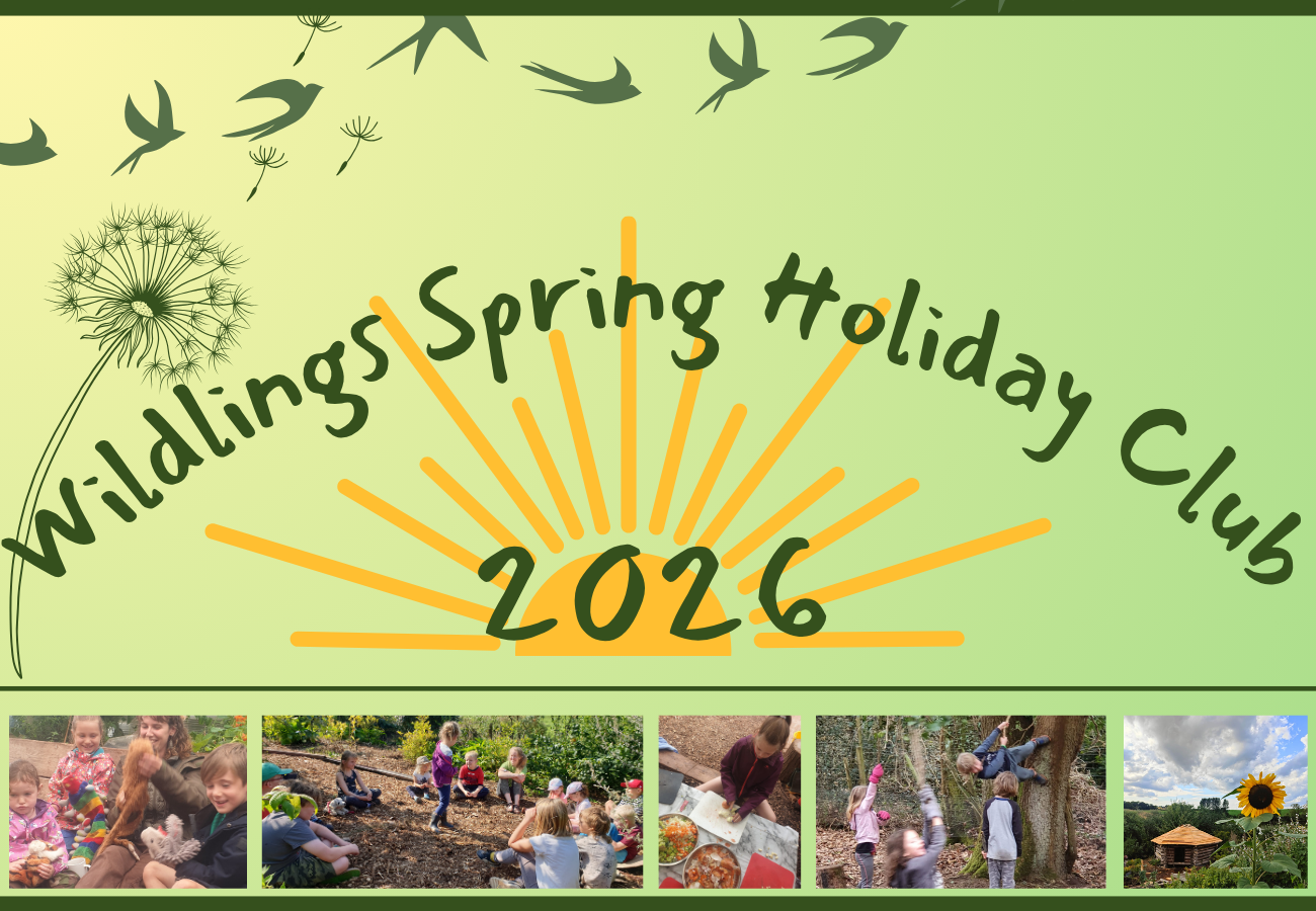 Wildlings Spring Holiday Club